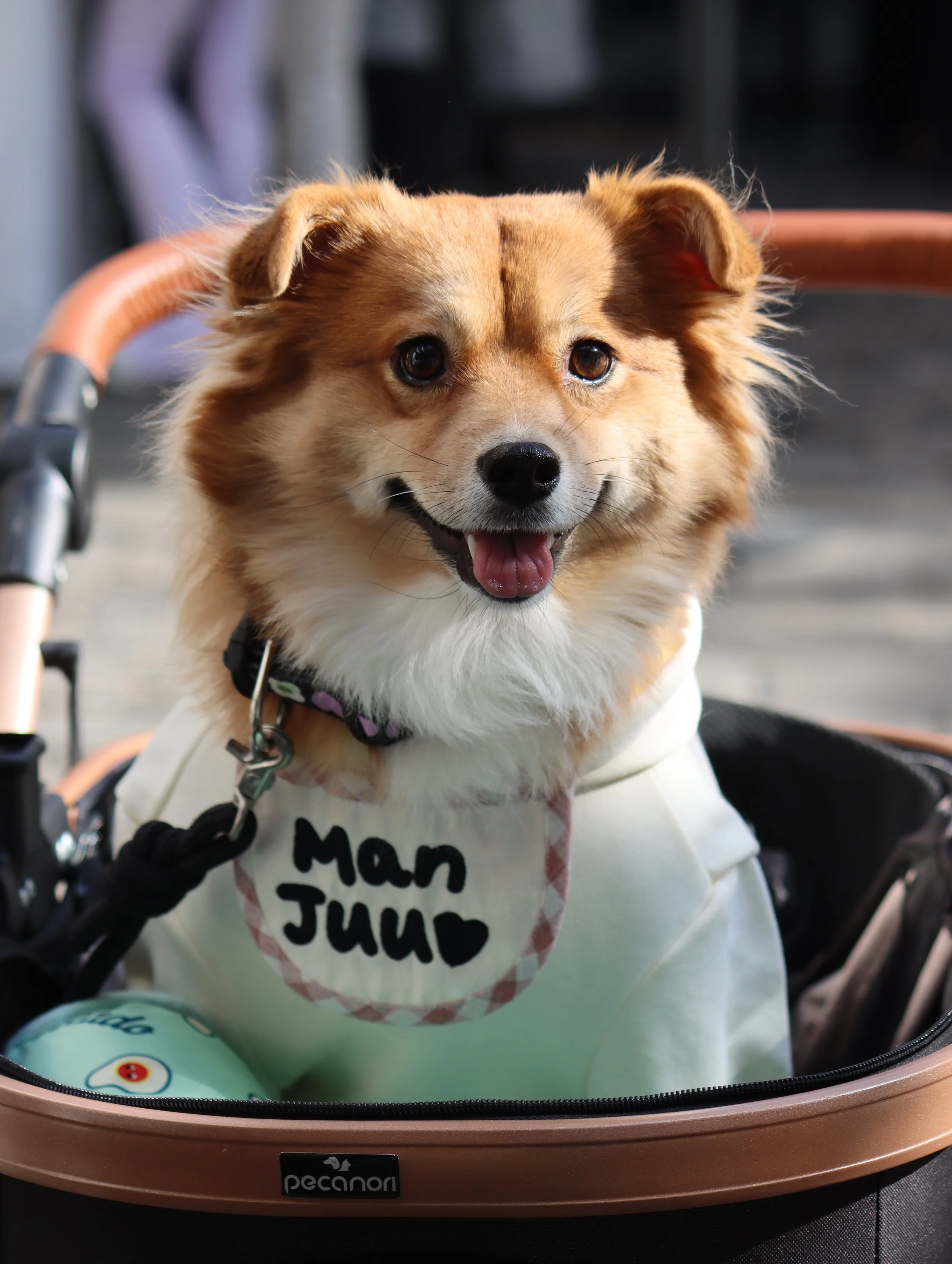 KakaoTalk_Photo_2025-11-12-16-44-02 015.jpeg