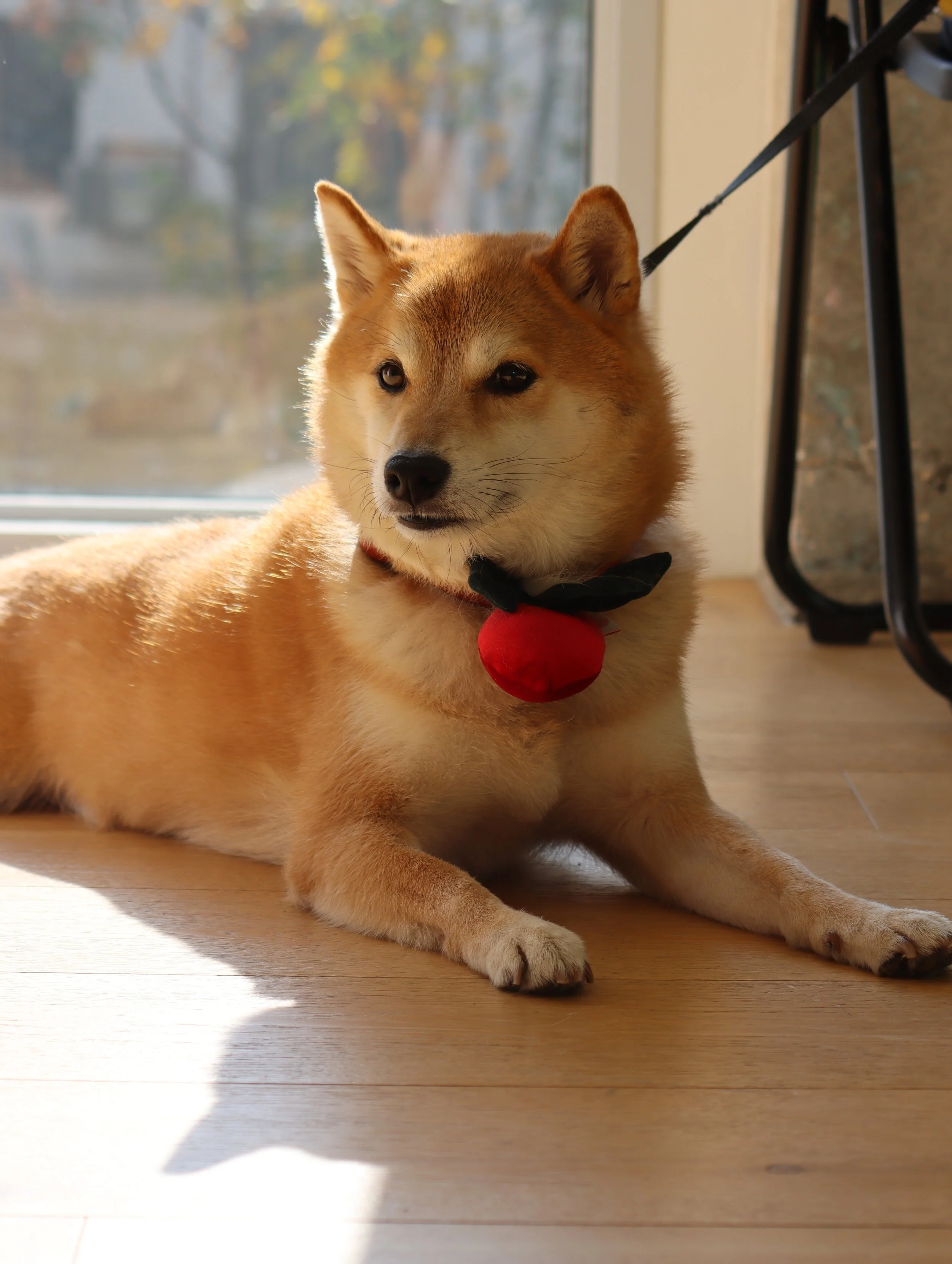 KakaoTalk_Photo_2025-11-12-16-44-01 014.jpeg