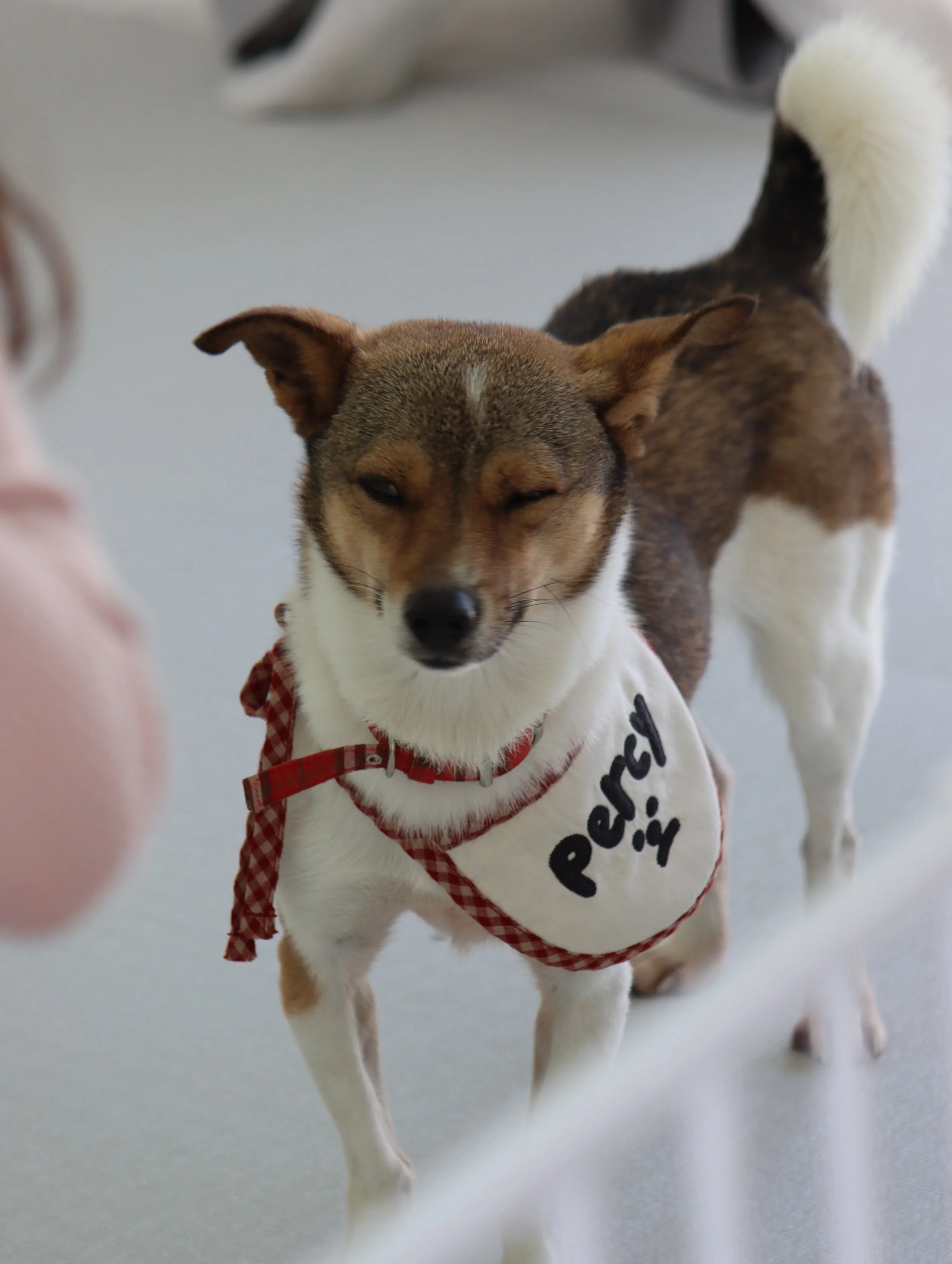 KakaoTalk_Photo_2025-11-12-16-43-51 006.jpeg