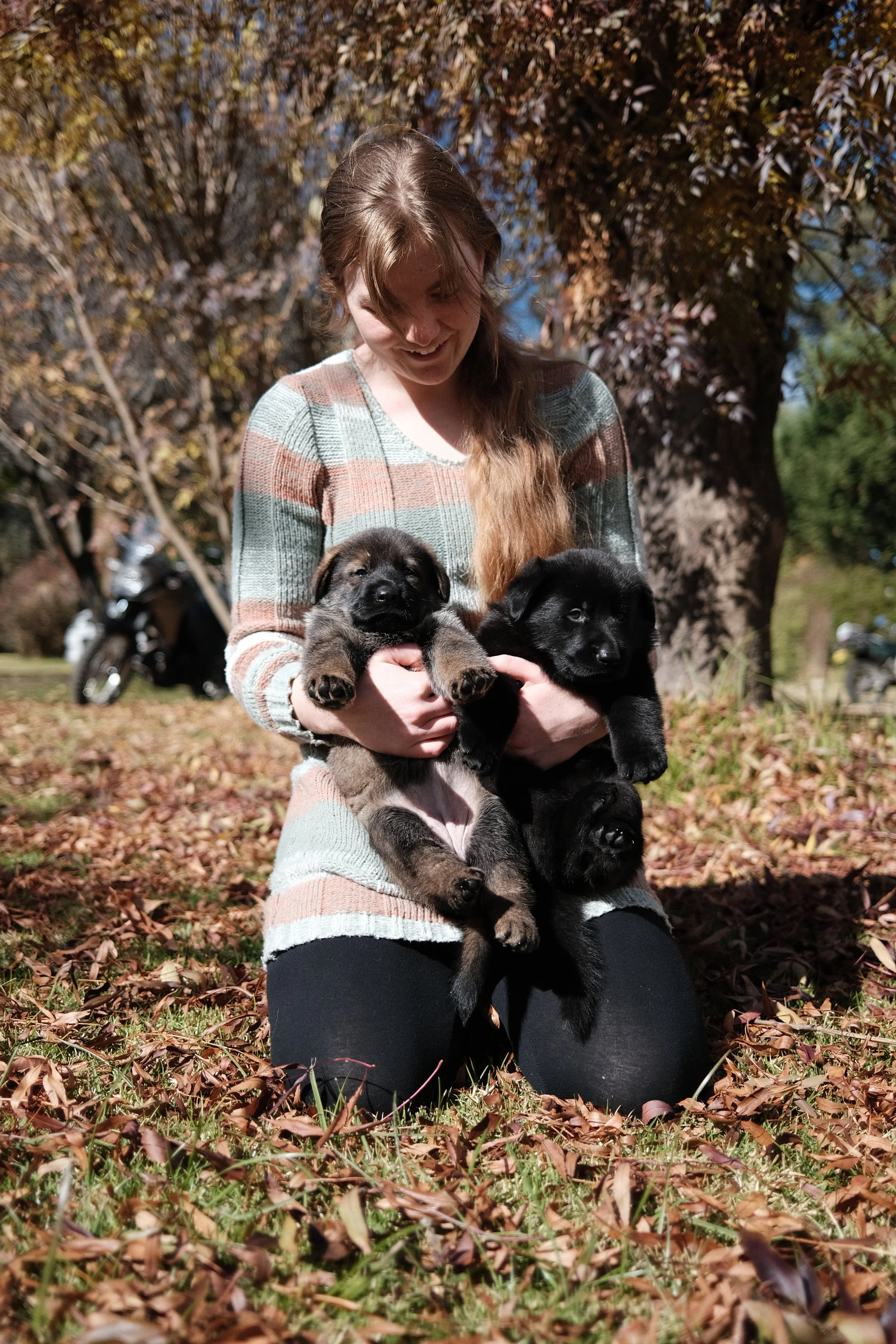 A young woman kneeling on the ground outdoors, holding two puppies, one brown and black and the other black, in her arms. She is smiling while looking down at the puppies. There are trees with autumn leaves and a motorcycle in the background.
