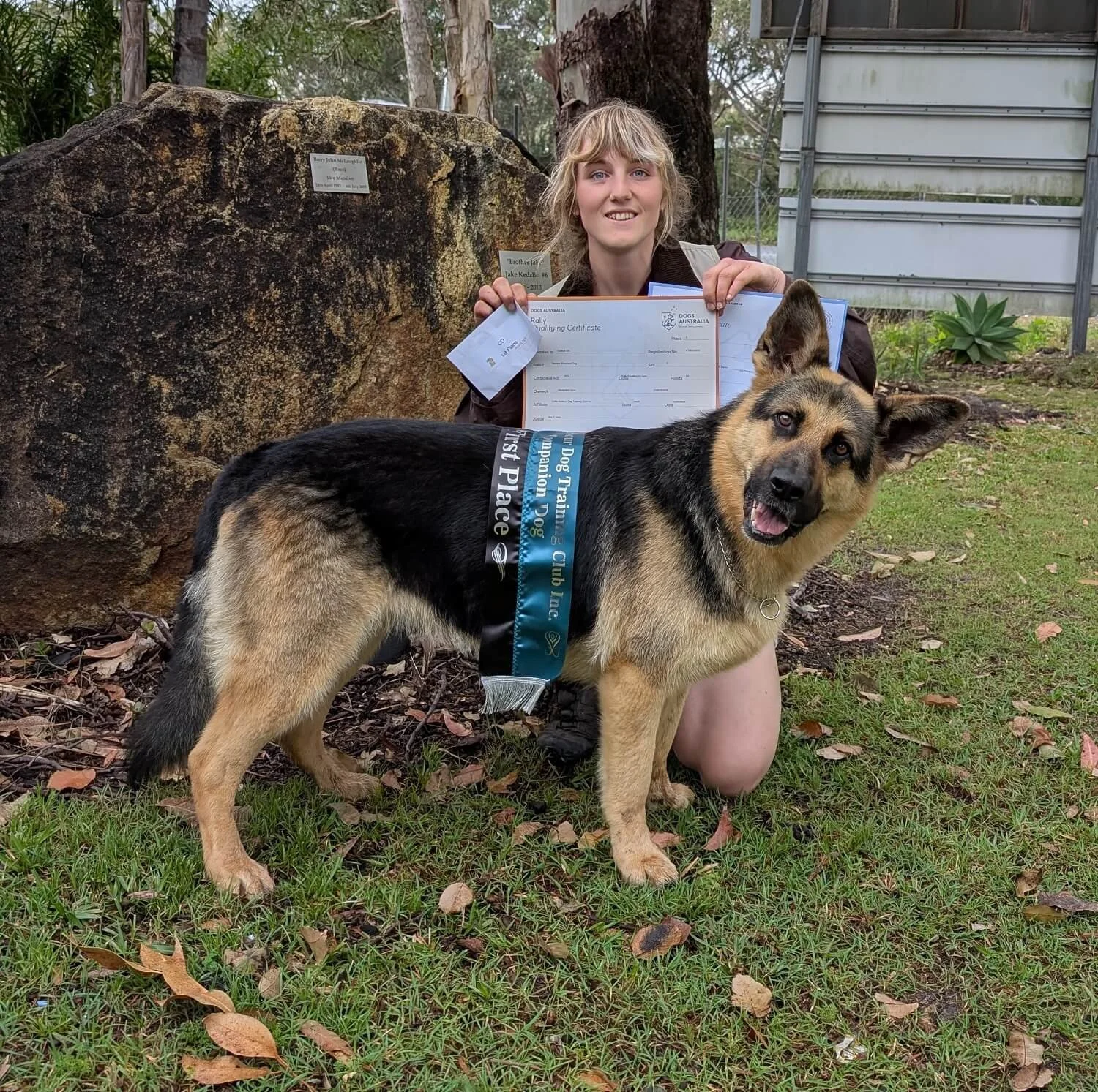 Alex kneeling on grass holding a certificate, with Mischa (German Shepherd) wearing a blue ribbon in the foreground. They are outdoors near a large rock and some plants, in a grassy park. Misch has just finished competing in a rally.