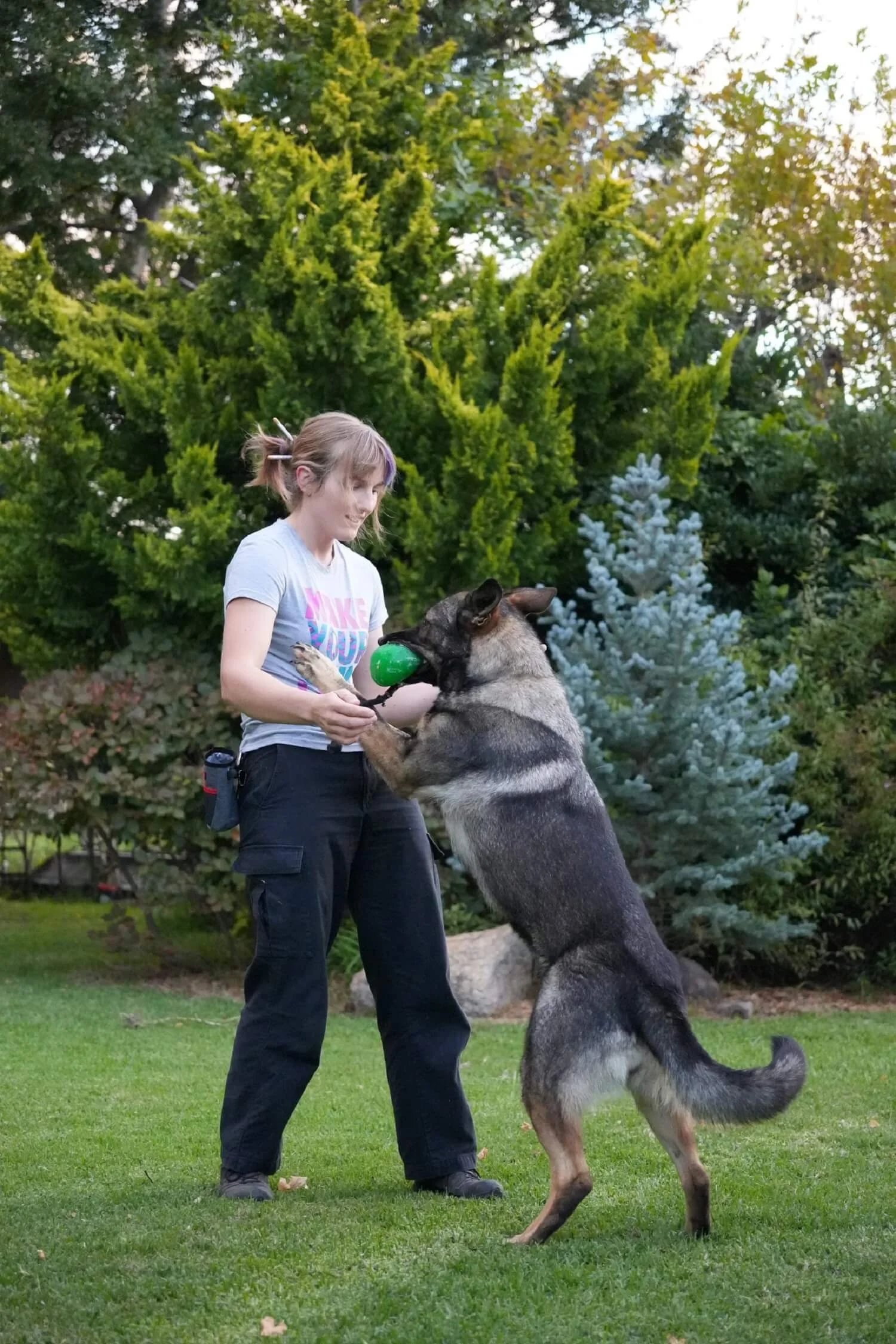 Alex is playing with Addi in a garden setting with a blue spruce tree behind them. Addi is leaping up to grab the green ball tug toy and Alex is stepping back to keep her balance and prevent Addi jumping on her.