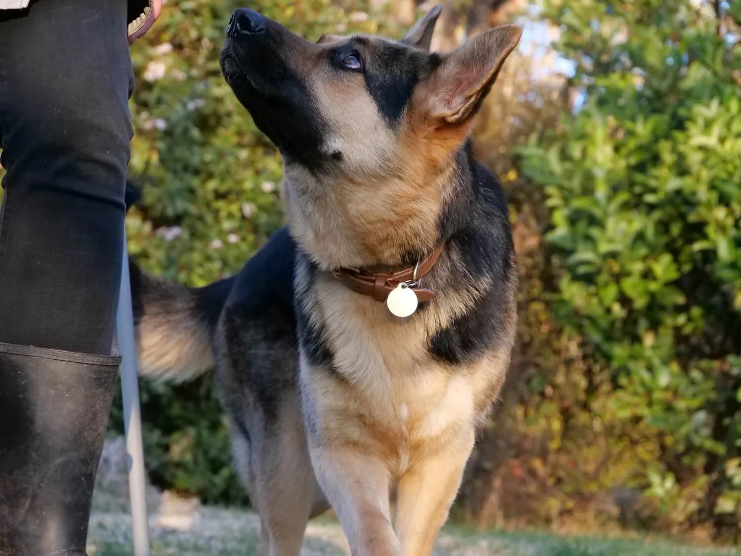 Misch finished the poles, looking at Alex, asking, Did I do good?