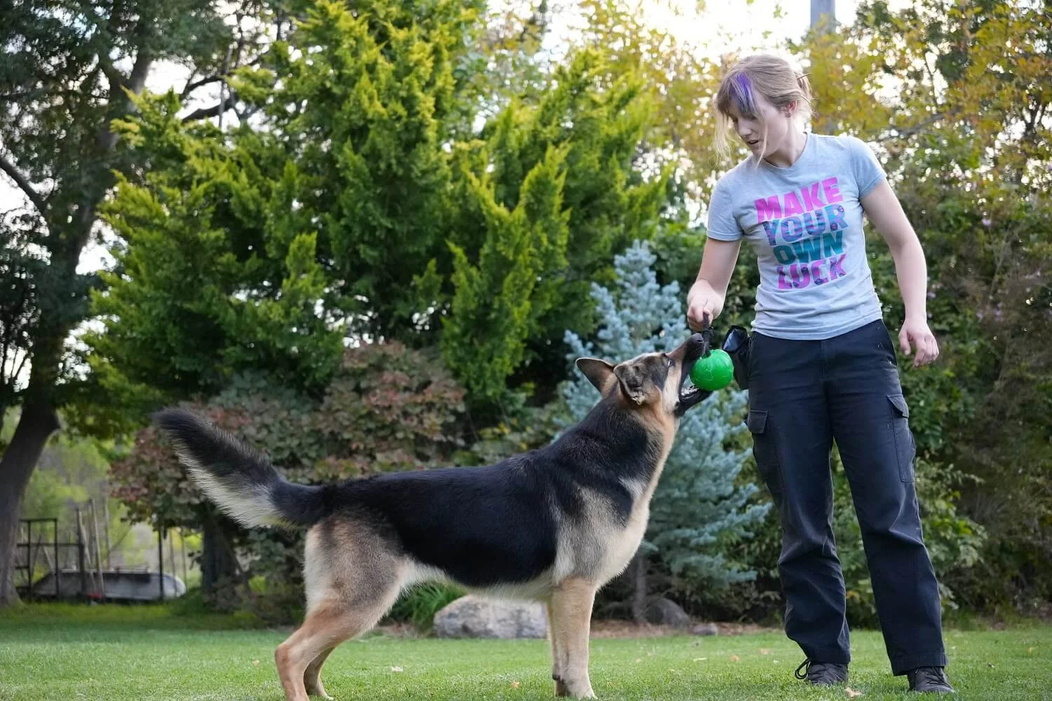 Alex is demonstrating play in training. She is holding a green tug toy which Black & Tan German  Shepherd Mischa is reaching for. Alex is in grey T-shirt with the words make your own luck., against a background of silver & light green conifer shrubs