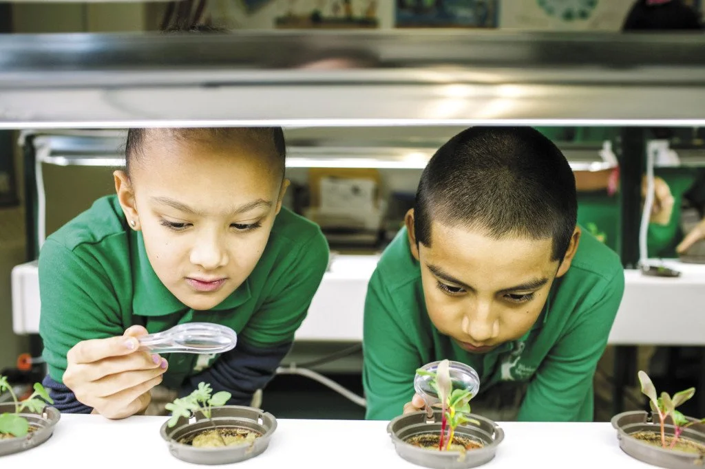 Indoor Gardening 1.jpeg