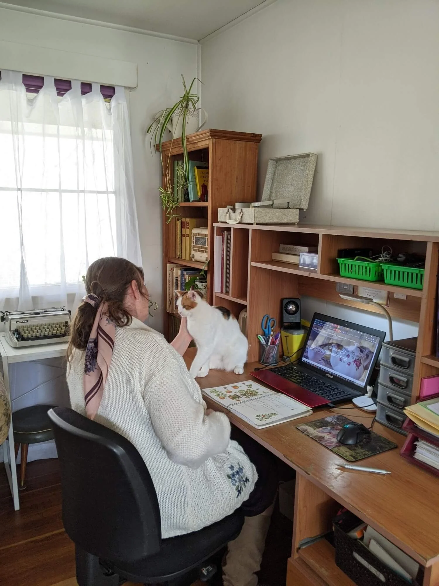 Too Many Cats web designer talking to Floss the cat