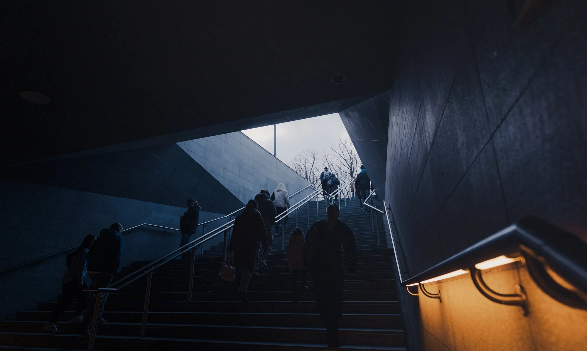 Presets Cine Lightroom-05121.jpg