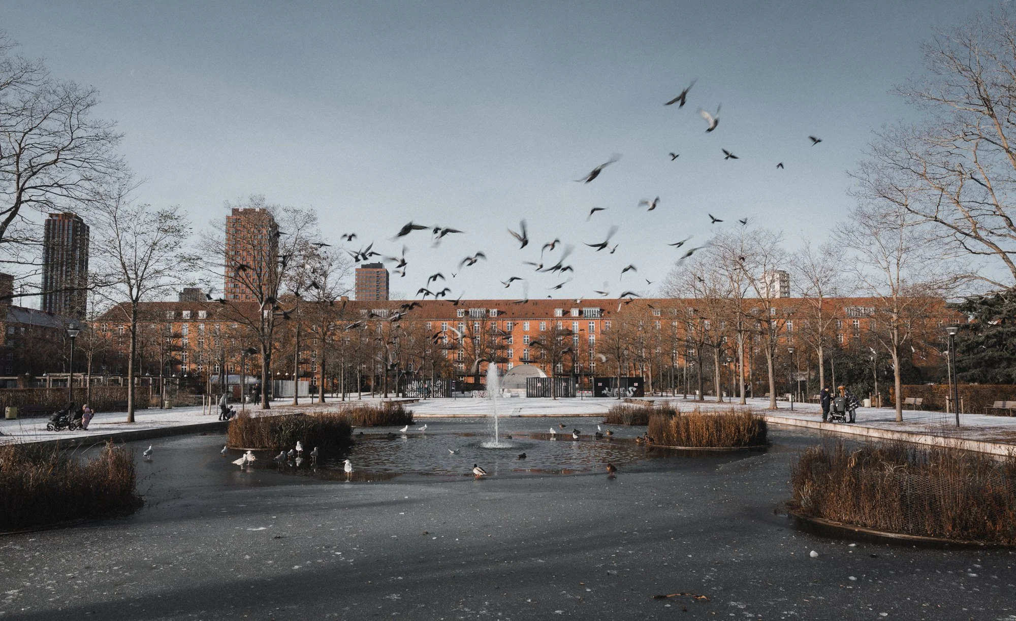 Presets Cine Lightroom-0100.jpg