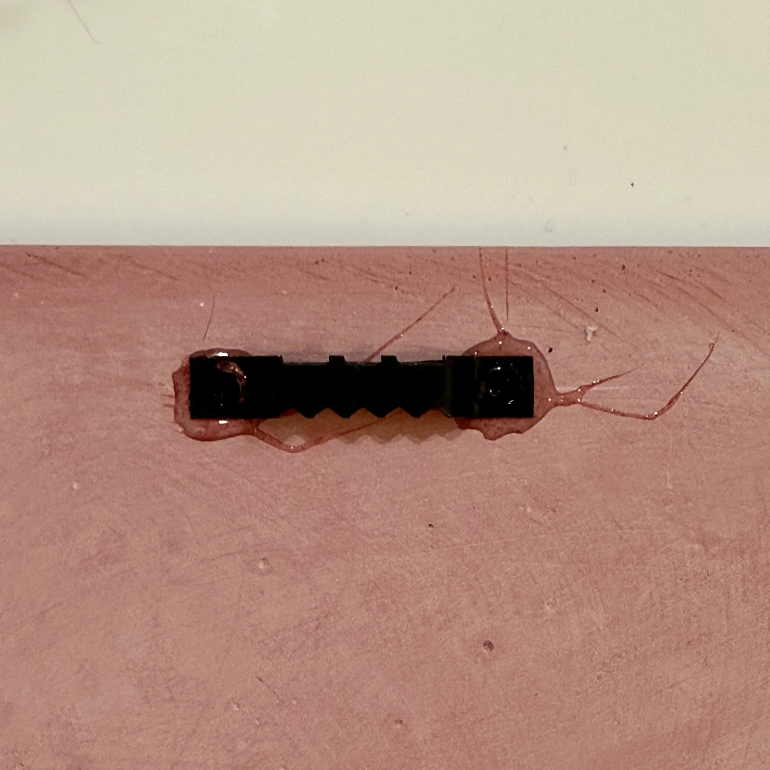 IMG_4877.jpeg (Copy) (Copy)