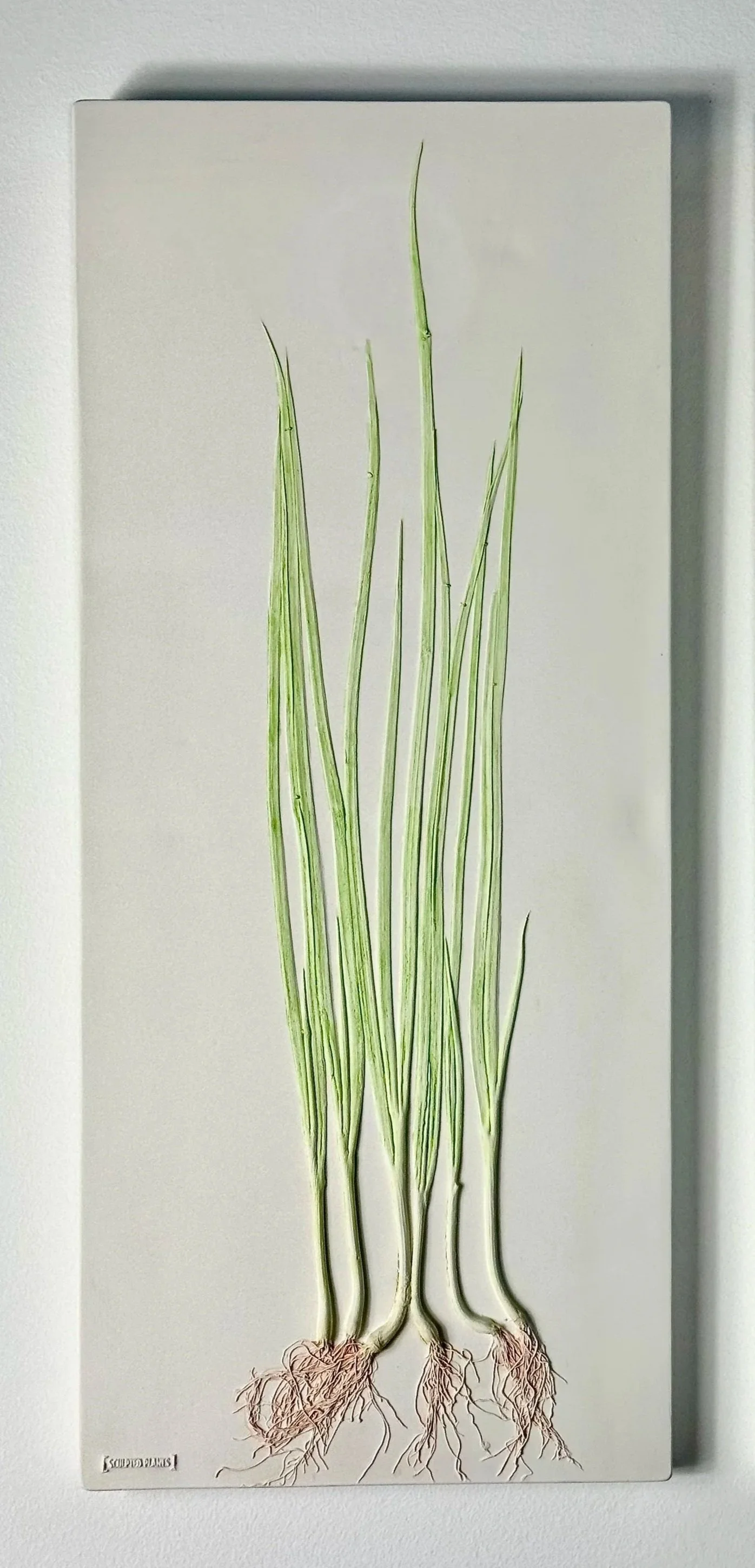 Spring Onions Bas-Relief