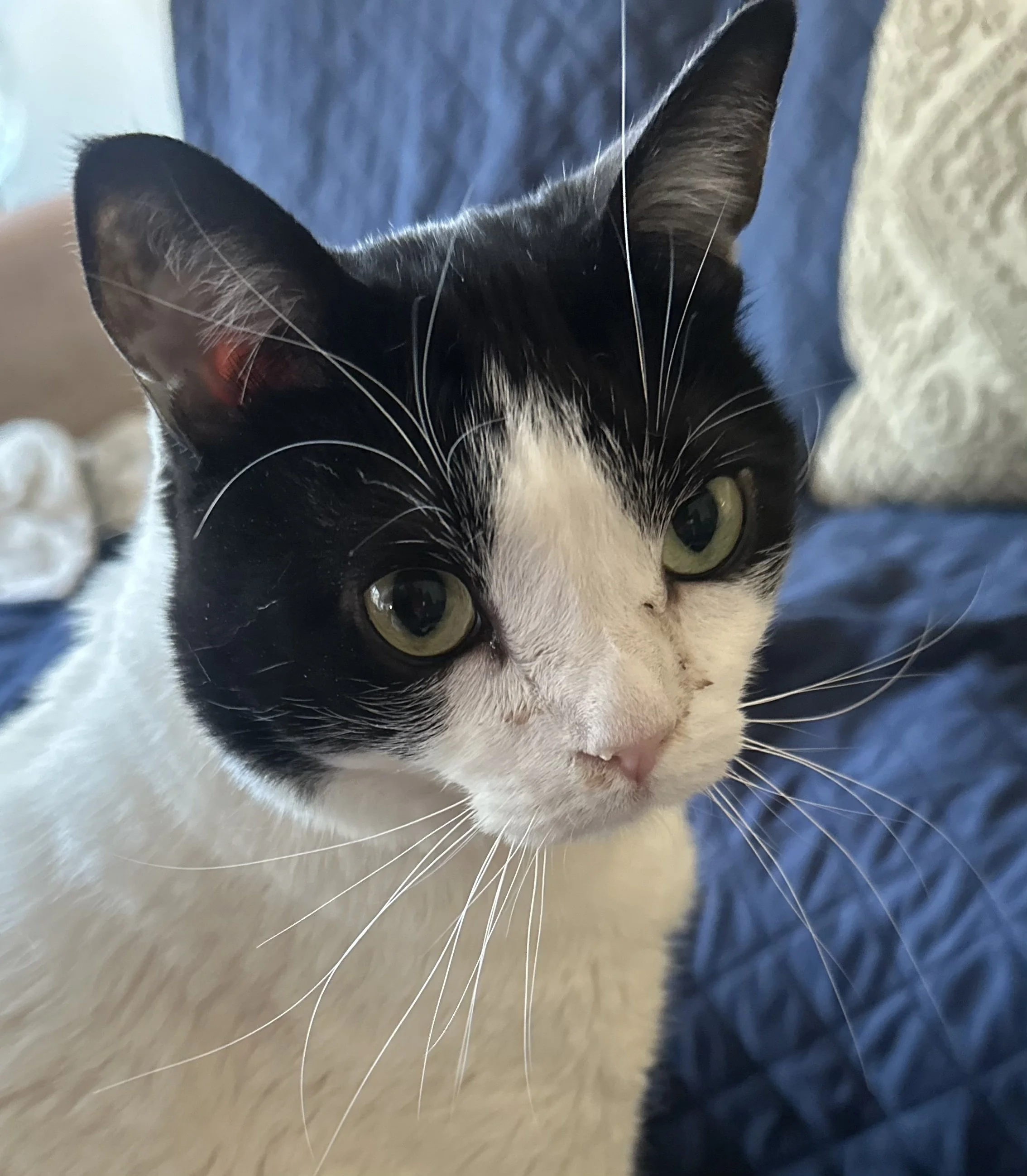 I Almost Pooped Myself to Death