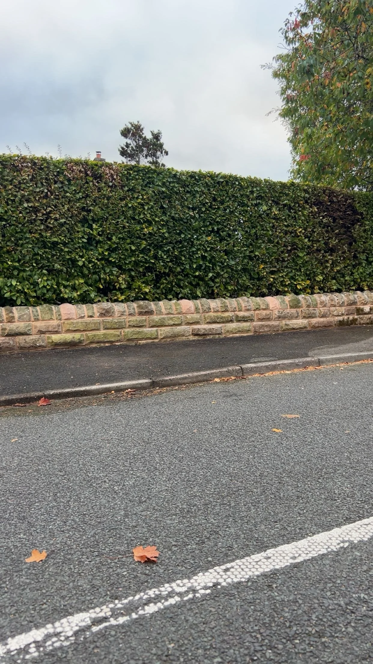 dry stone wall, retaining, cladding, stonework, random style, coursed style, limestone, sandstone, gritstone, Derbyshire, Nottinghamshire, Yorkshire, Staffordshire, Leicestershire, Lancashire, Manchester, Stockport, Sheffield, Chesterfield, Matlock