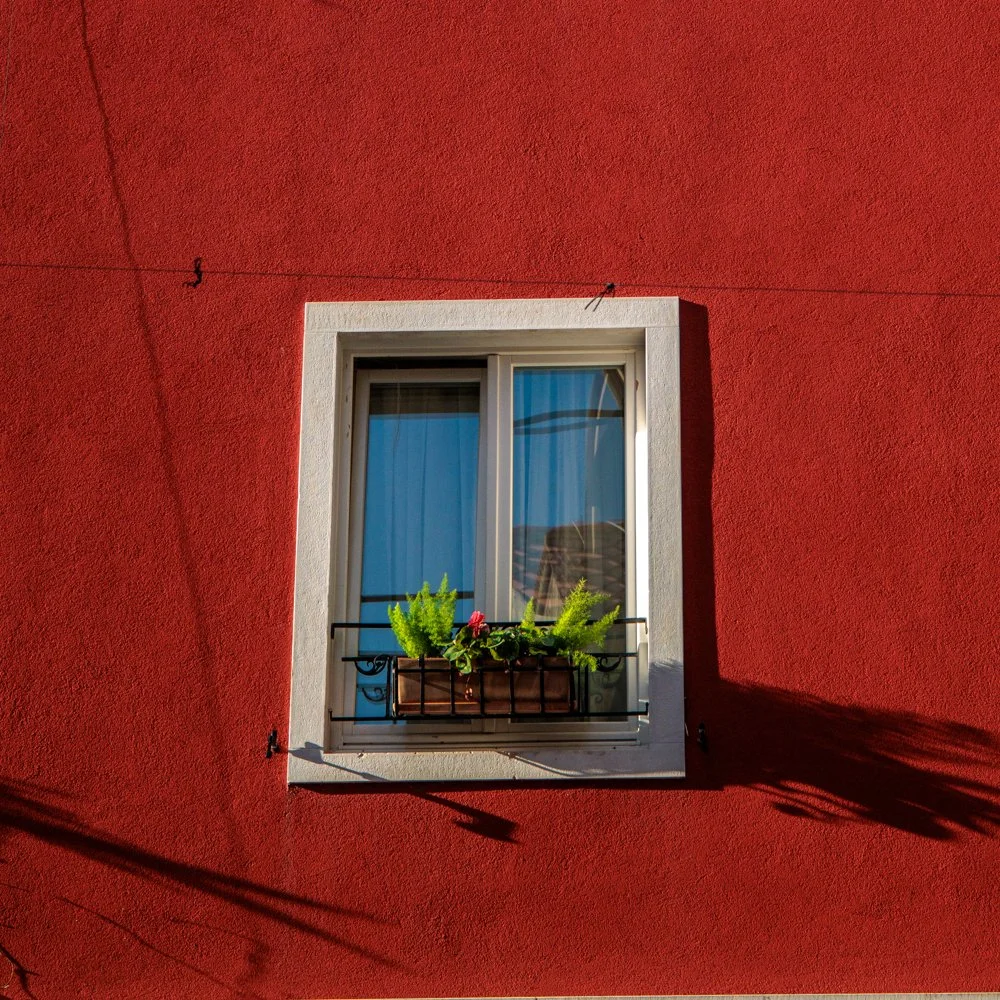 Reflections in Ras al Khor.jpg