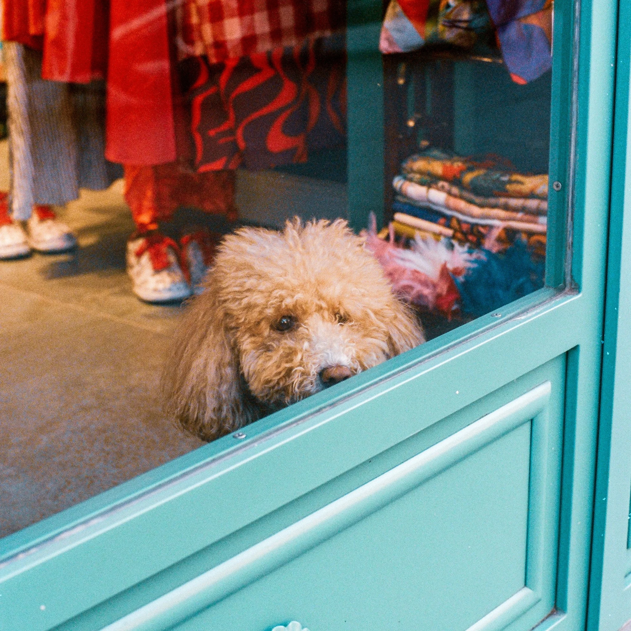 000023230005.jpg