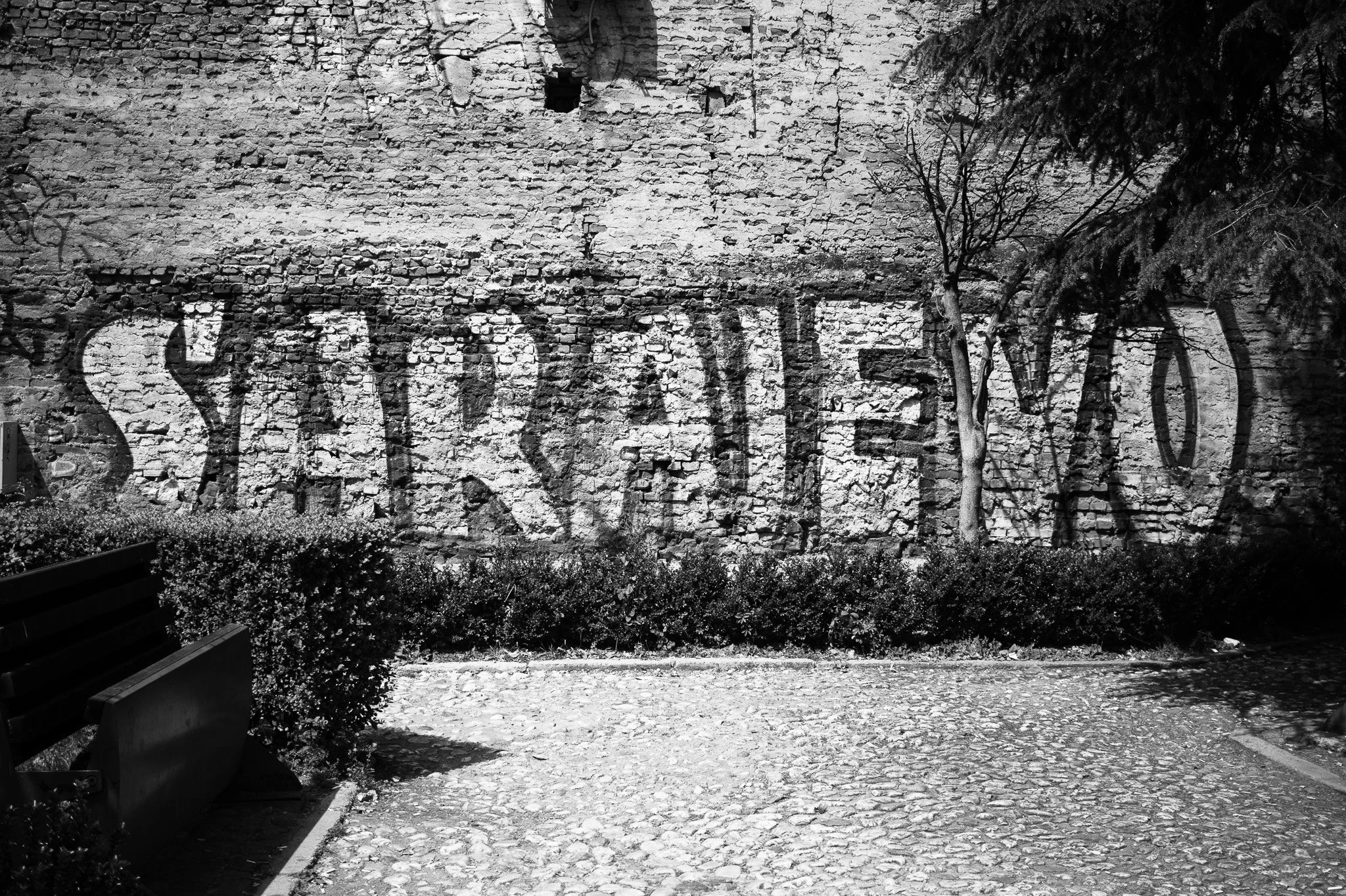 SARAJEVO | BOSNIA & HERZEGOVINA (2024)