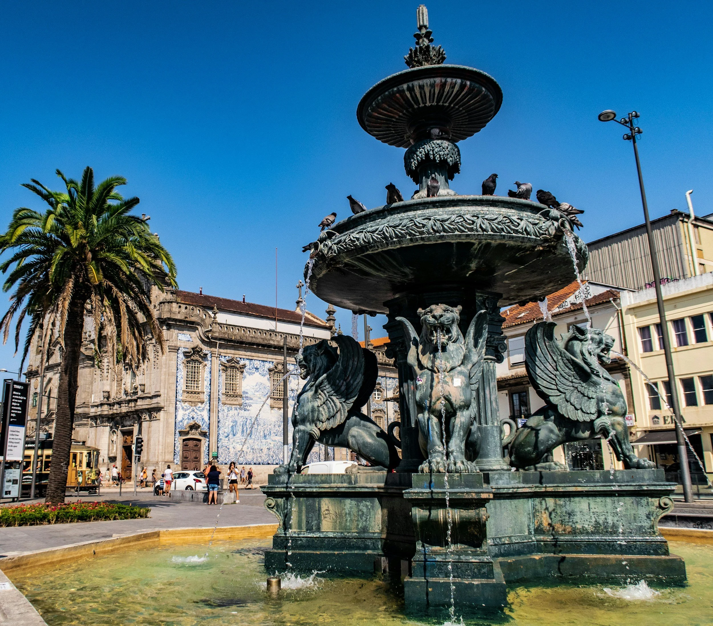A historic ornate fountain with lion and winged horse sculptures, pigeons on top, in a city square with surrounding buildings and a palm tree, under a clear blue sky.