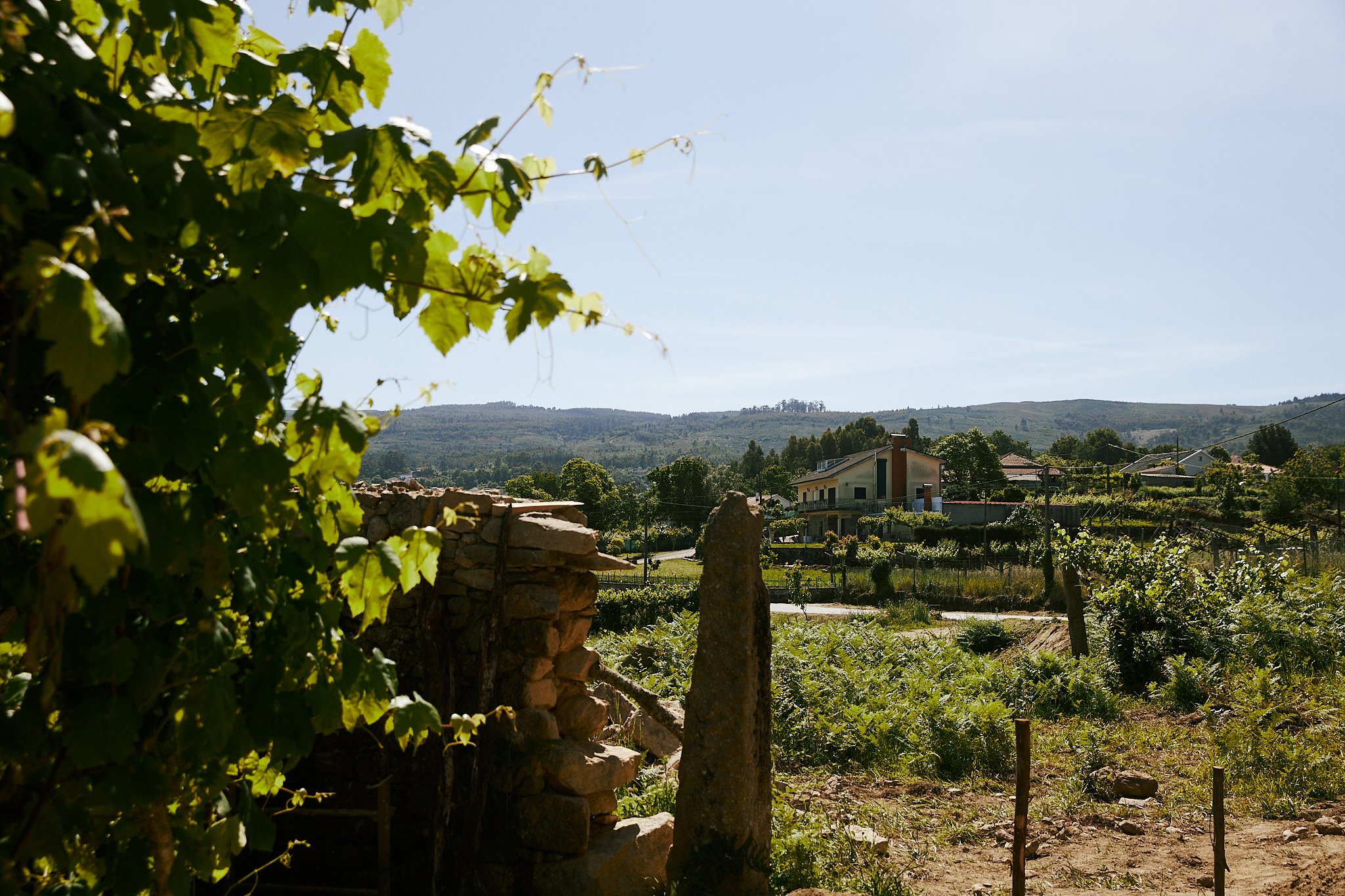 A rural landscape with a garden, stone wall, and houses in the distance under a clear blue sky.
