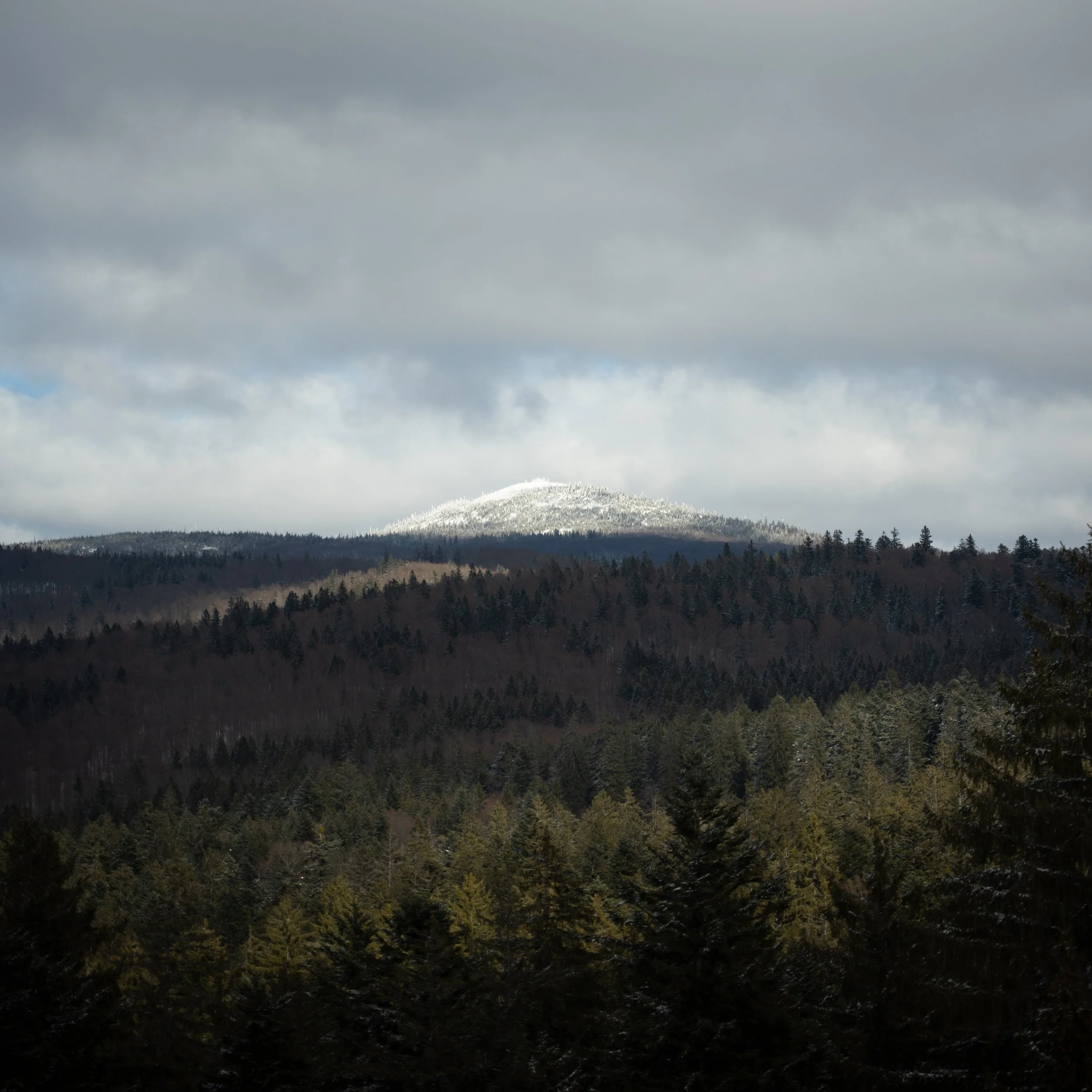 DSC05913-2.jpg