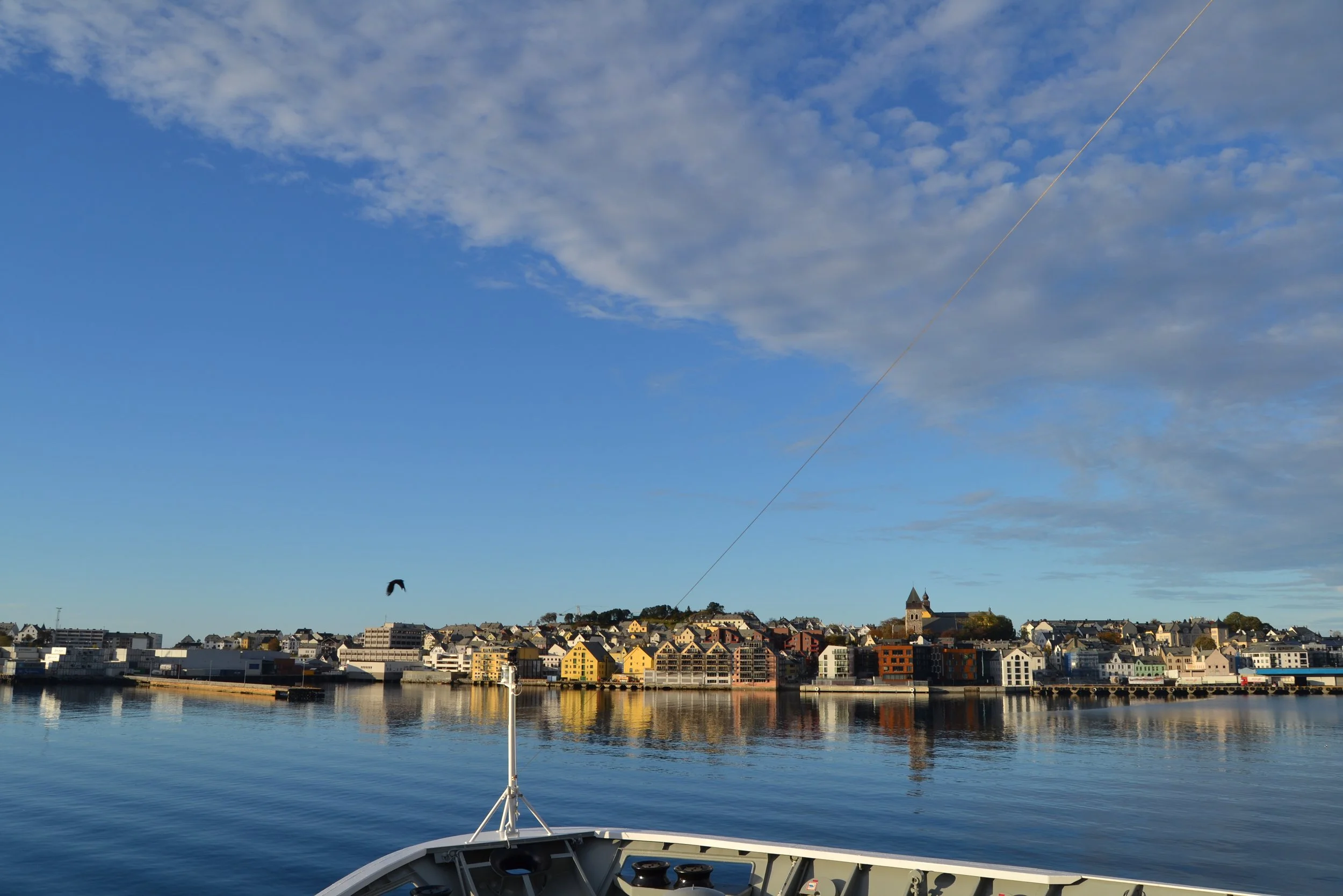 DSC_0602.JPG