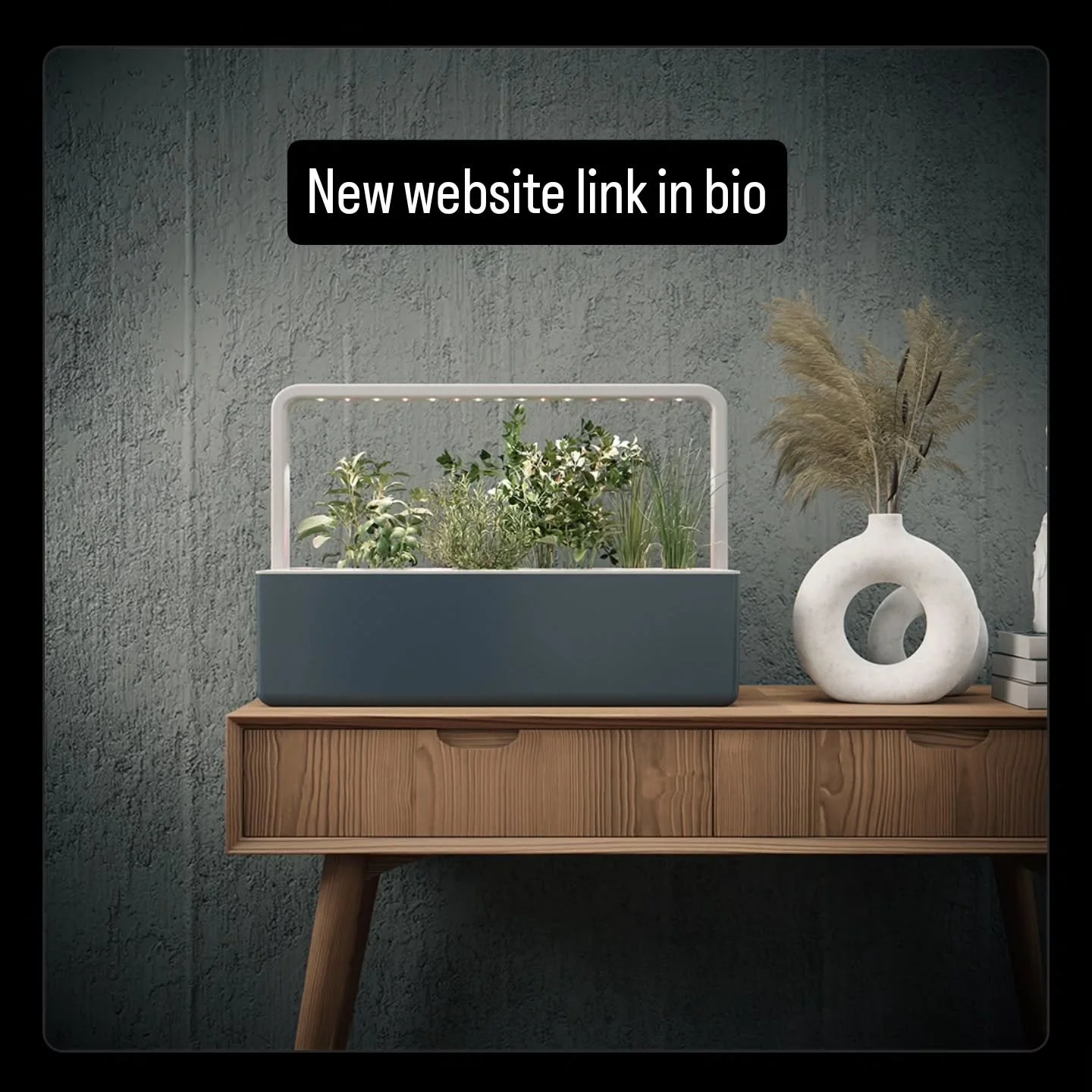 We launched a new Estonian domain website earlier this year. Link in bio.