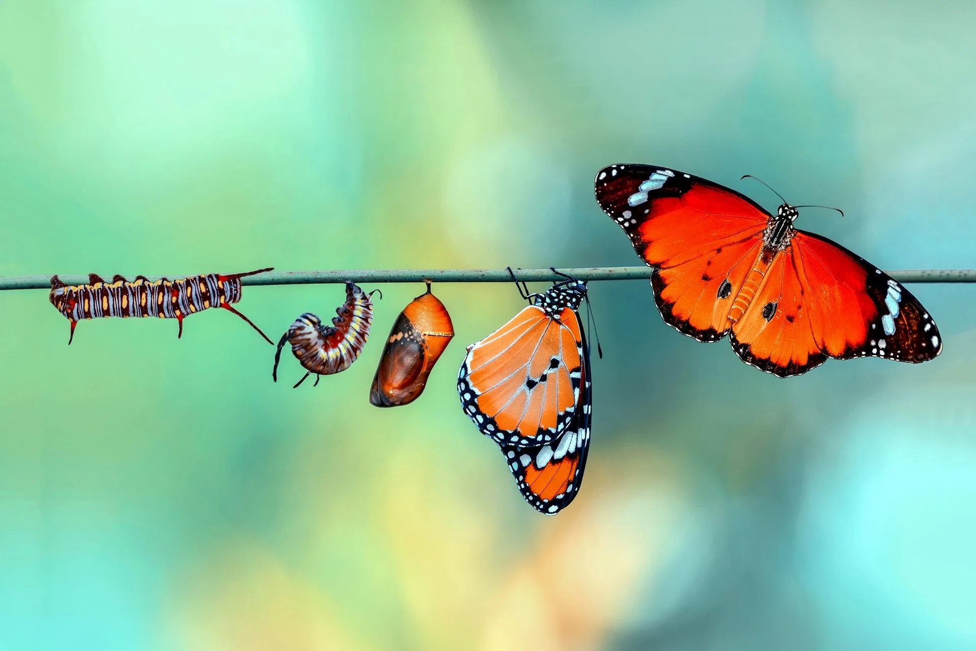 Creativity &amp; Change