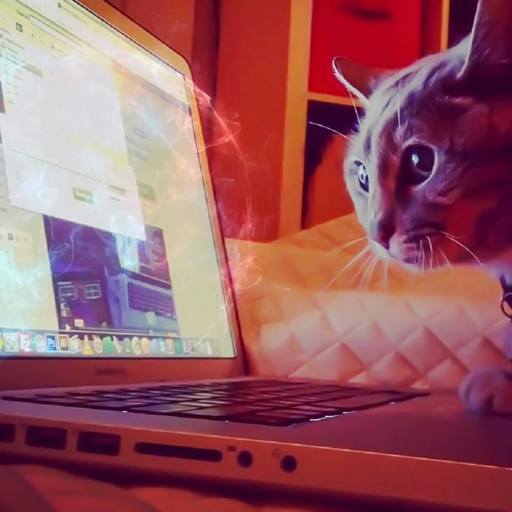 CHANNEL-ONE-Blog-Banner-Cat.jpg