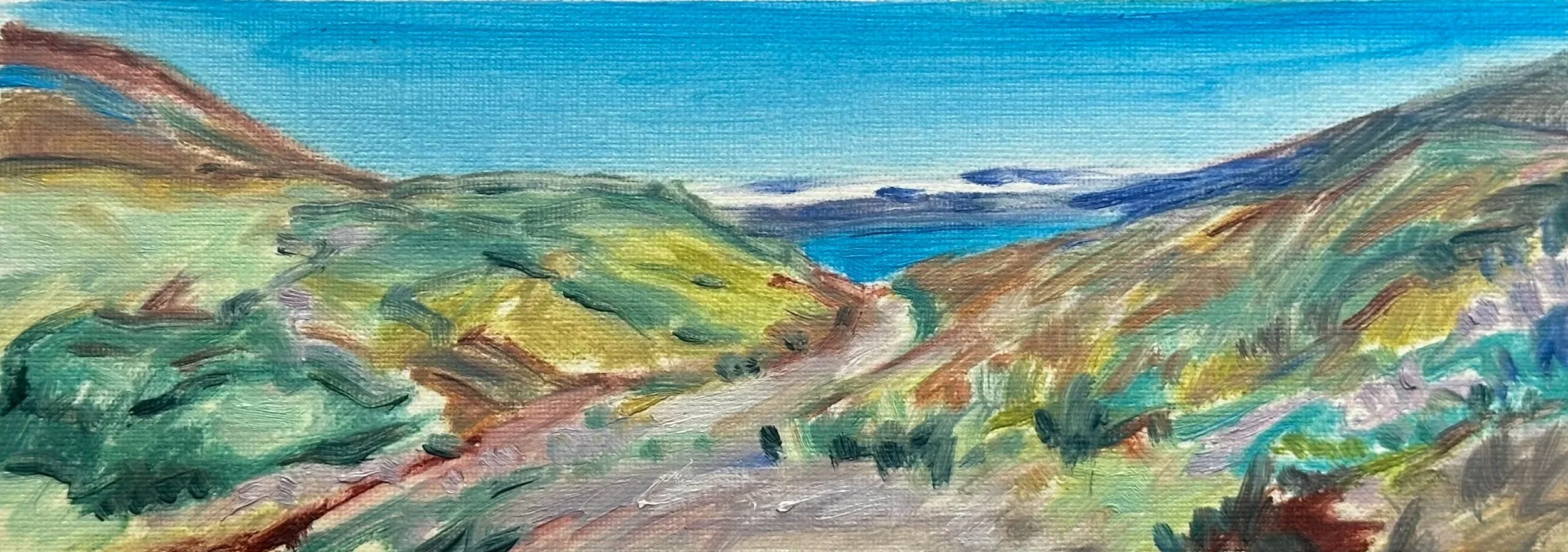 Bluebells, Aurlandsfjord, Norway