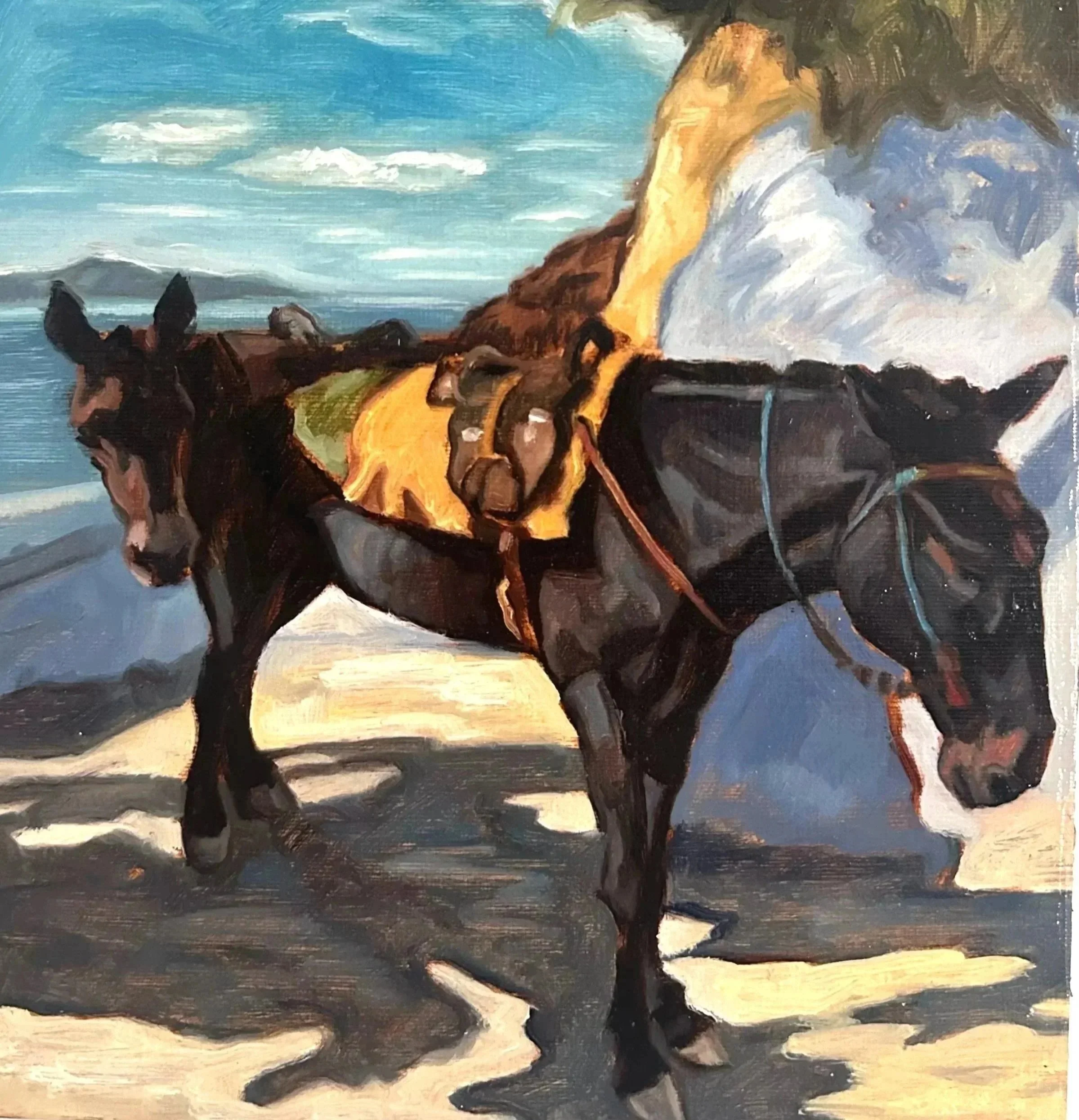 Public Transport, Santorini