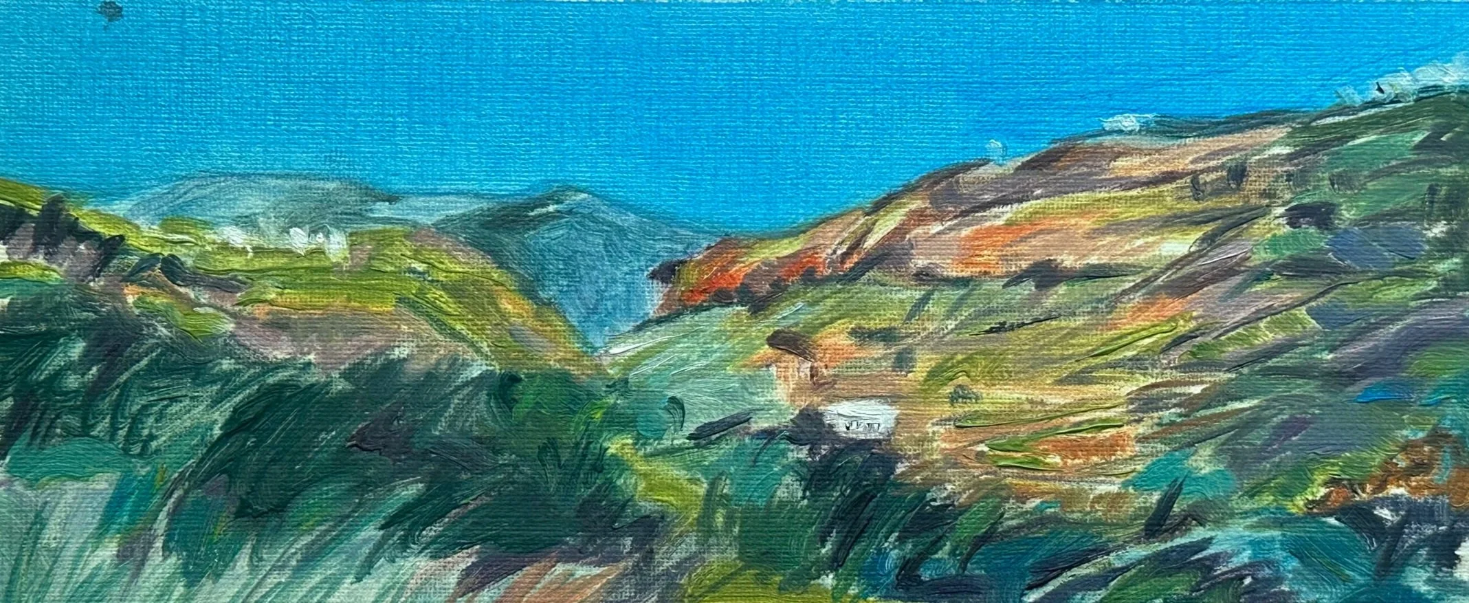 Hillside, Gran Canaria