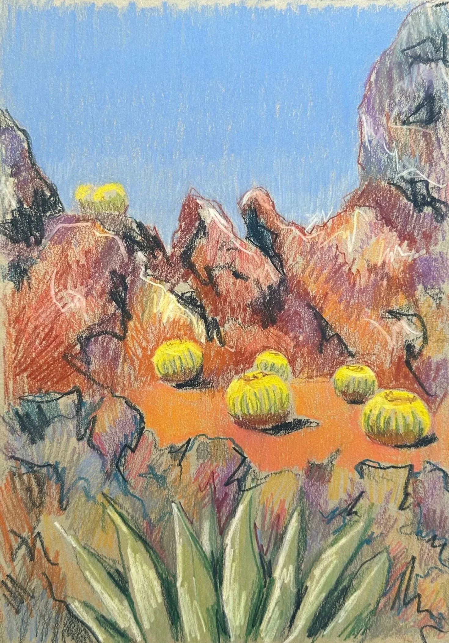 Cactus Garden, Lanzararote