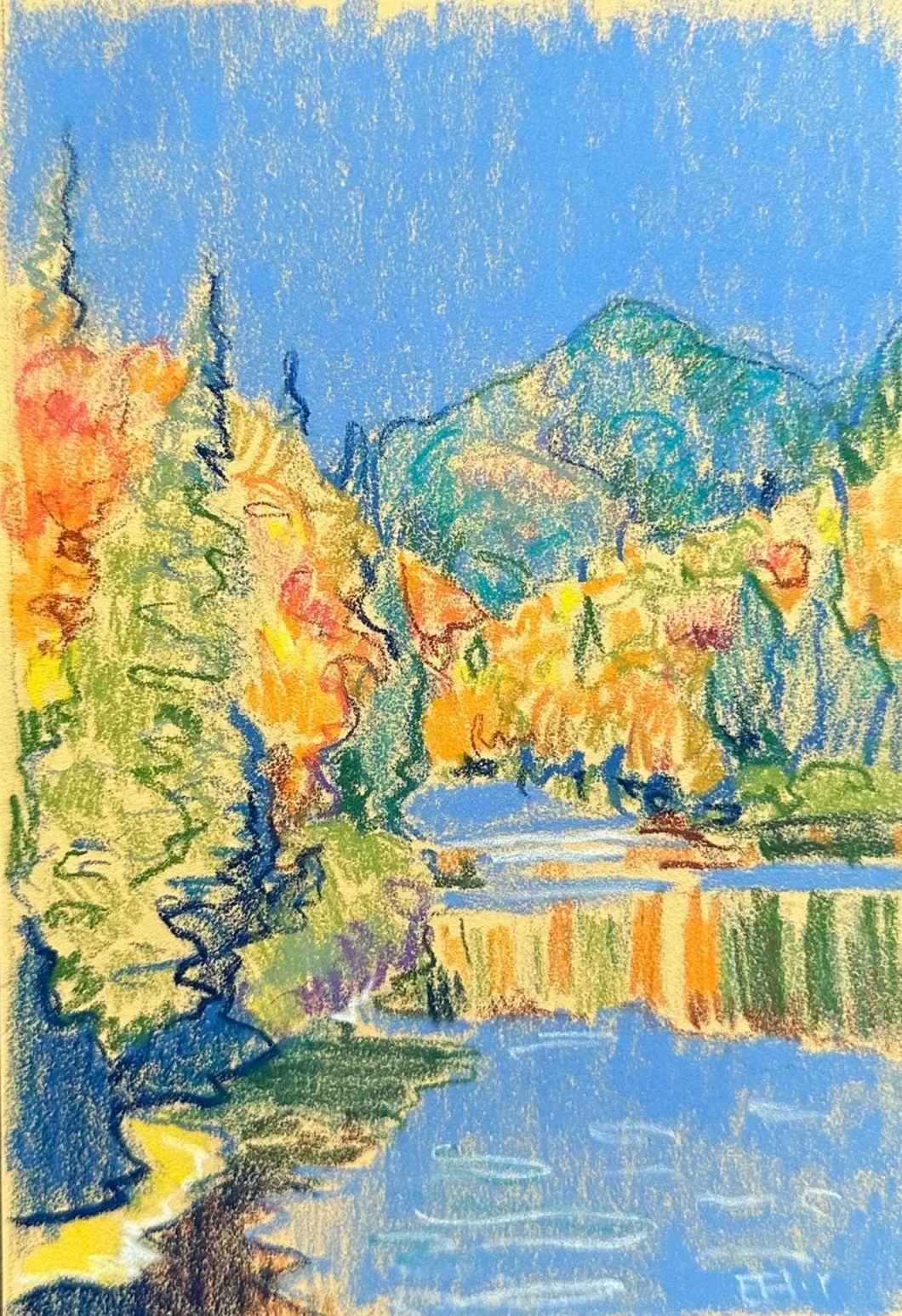 Pines, Jaques Cartier, Quebec