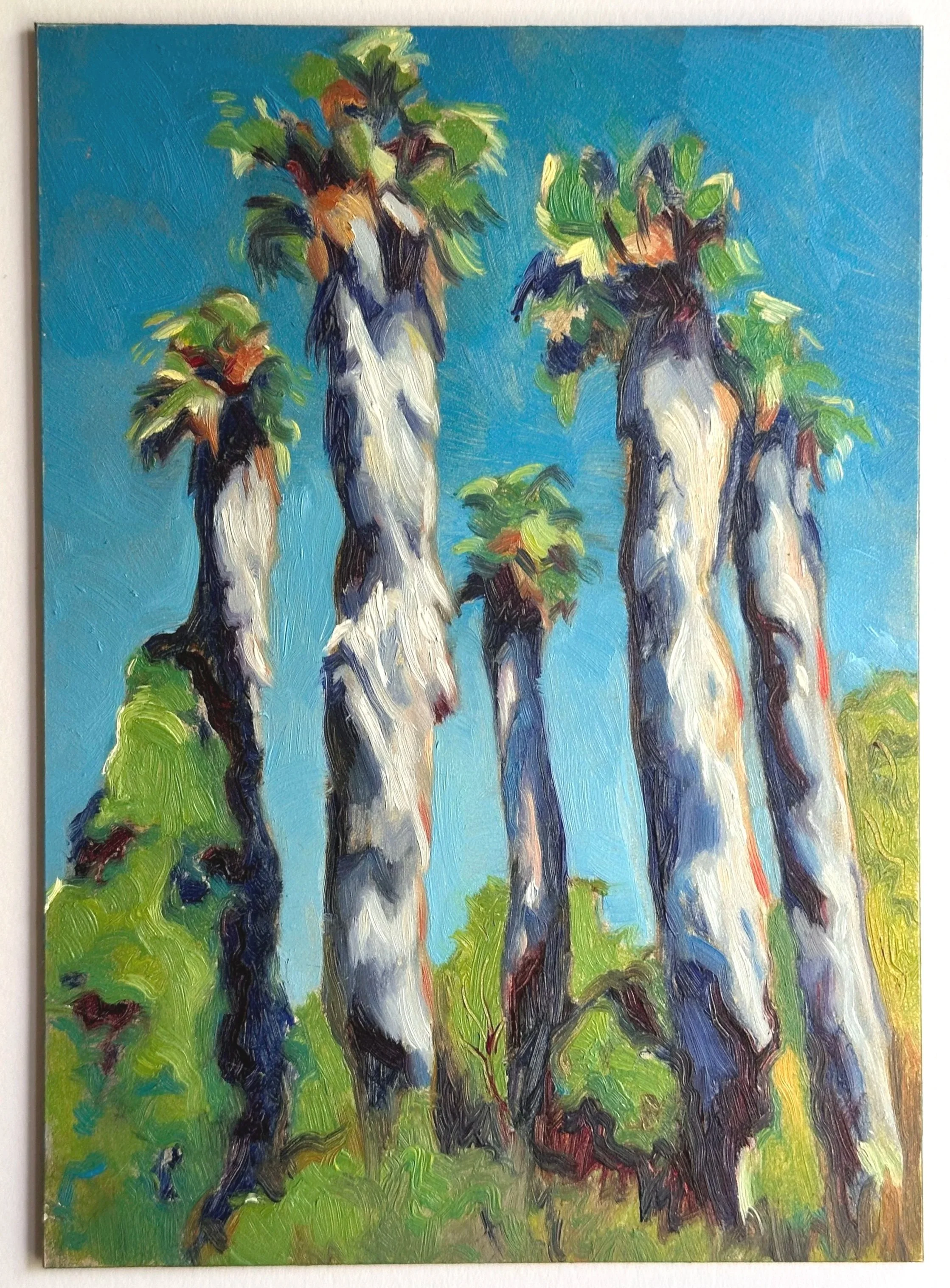 Olive oil farm, Greece