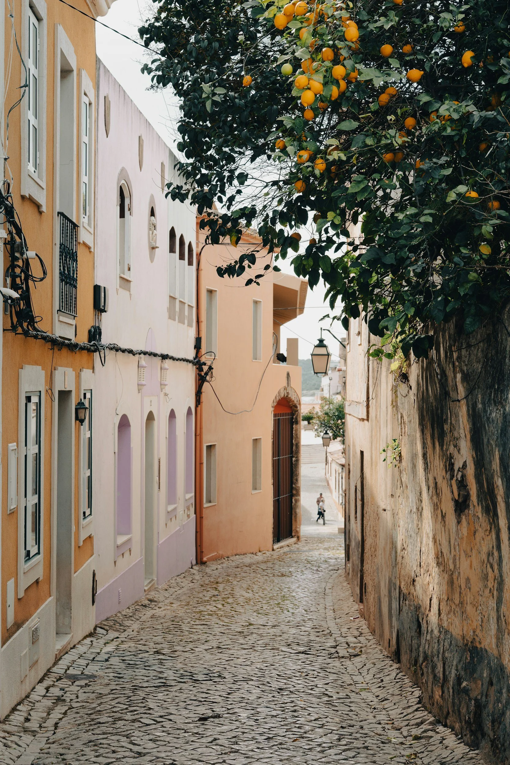 A narrow cobblestone street lined with pastel-colored buildings on the left and an old stone wall on the right. A large tree with green leaves and yellow-orange fruit overhangs the street. A person walking in the distance near a small stairway, and a streetlamp hanging from a building.