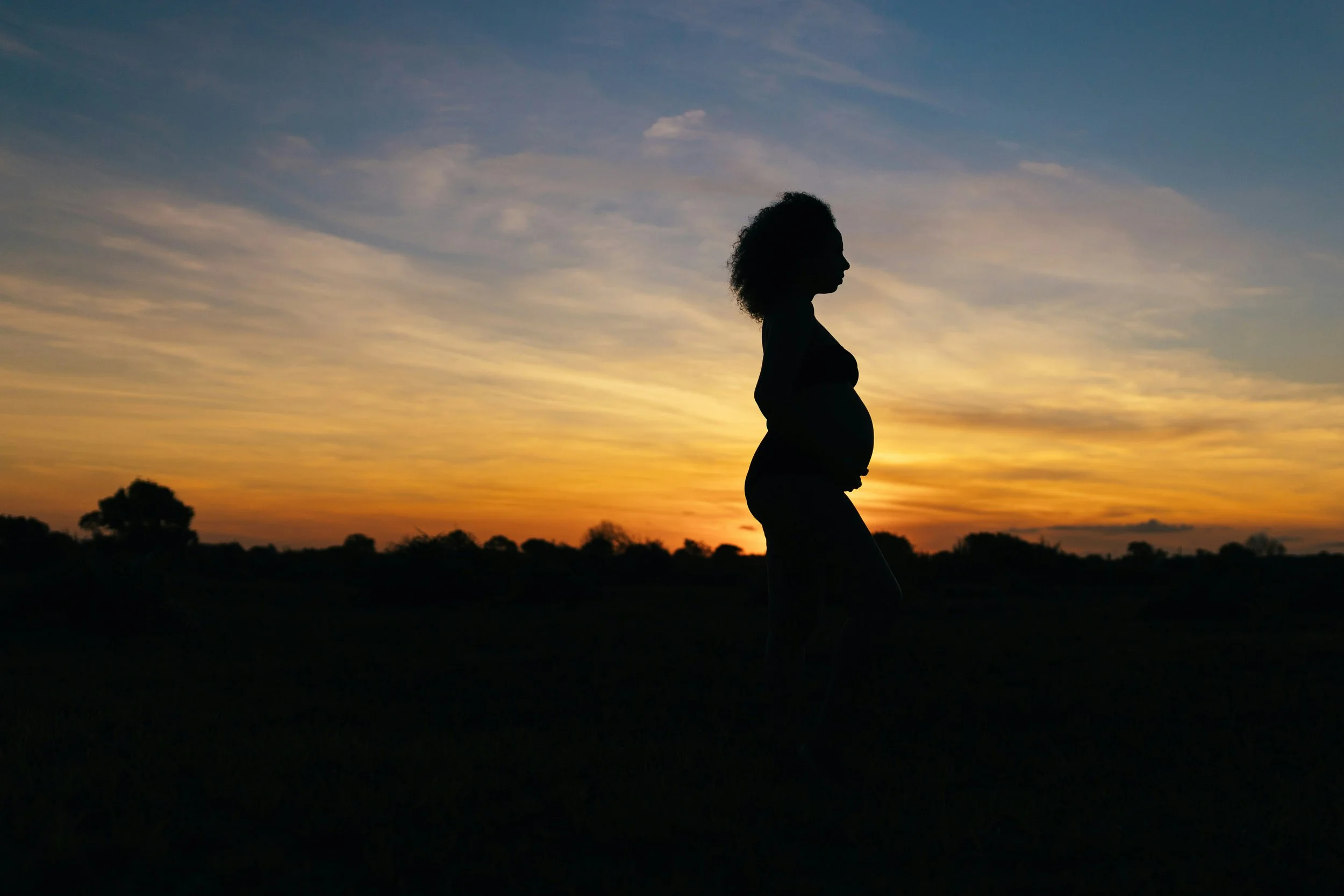 First Trimester - Part 1 