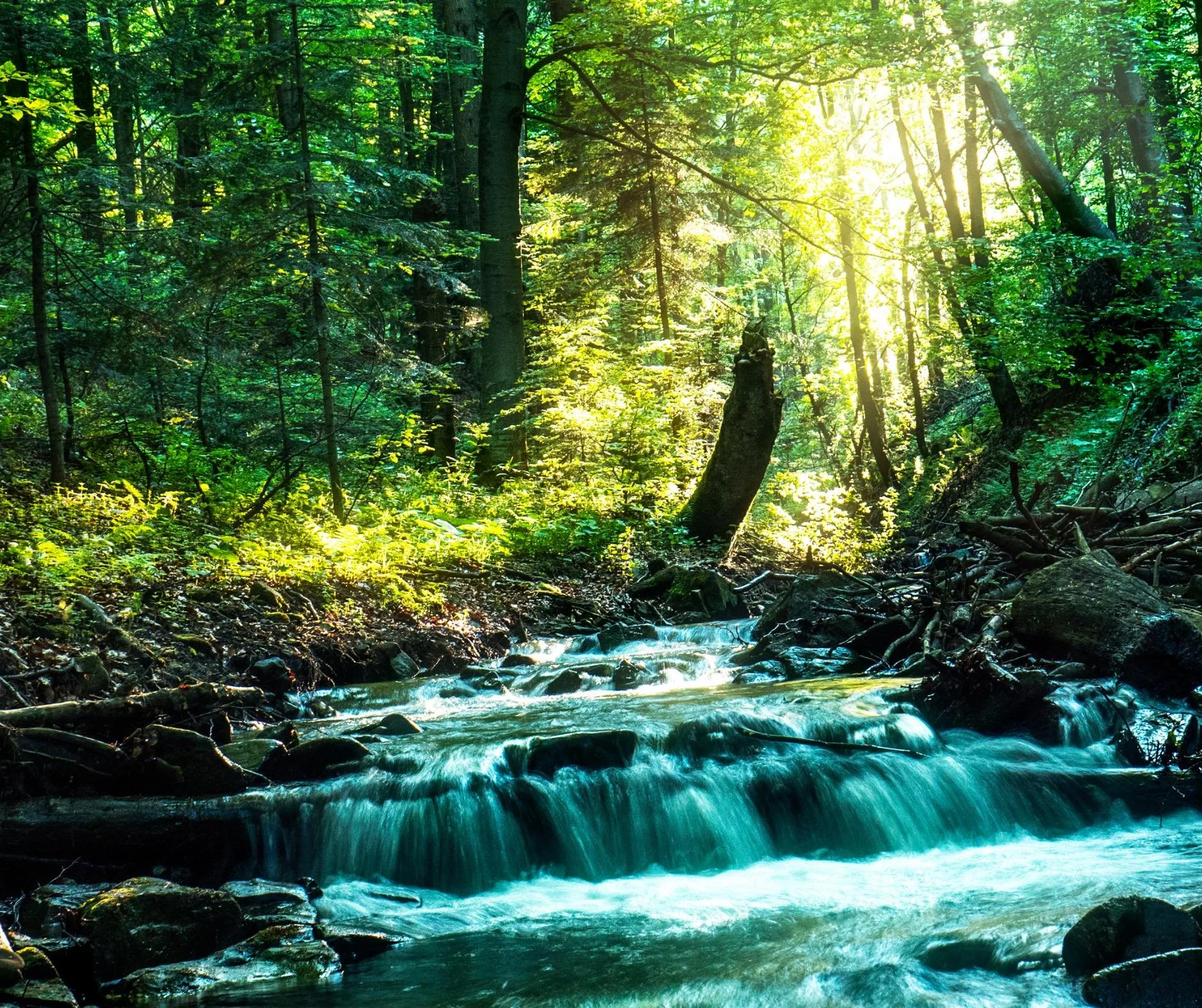 A Story About Letting Go