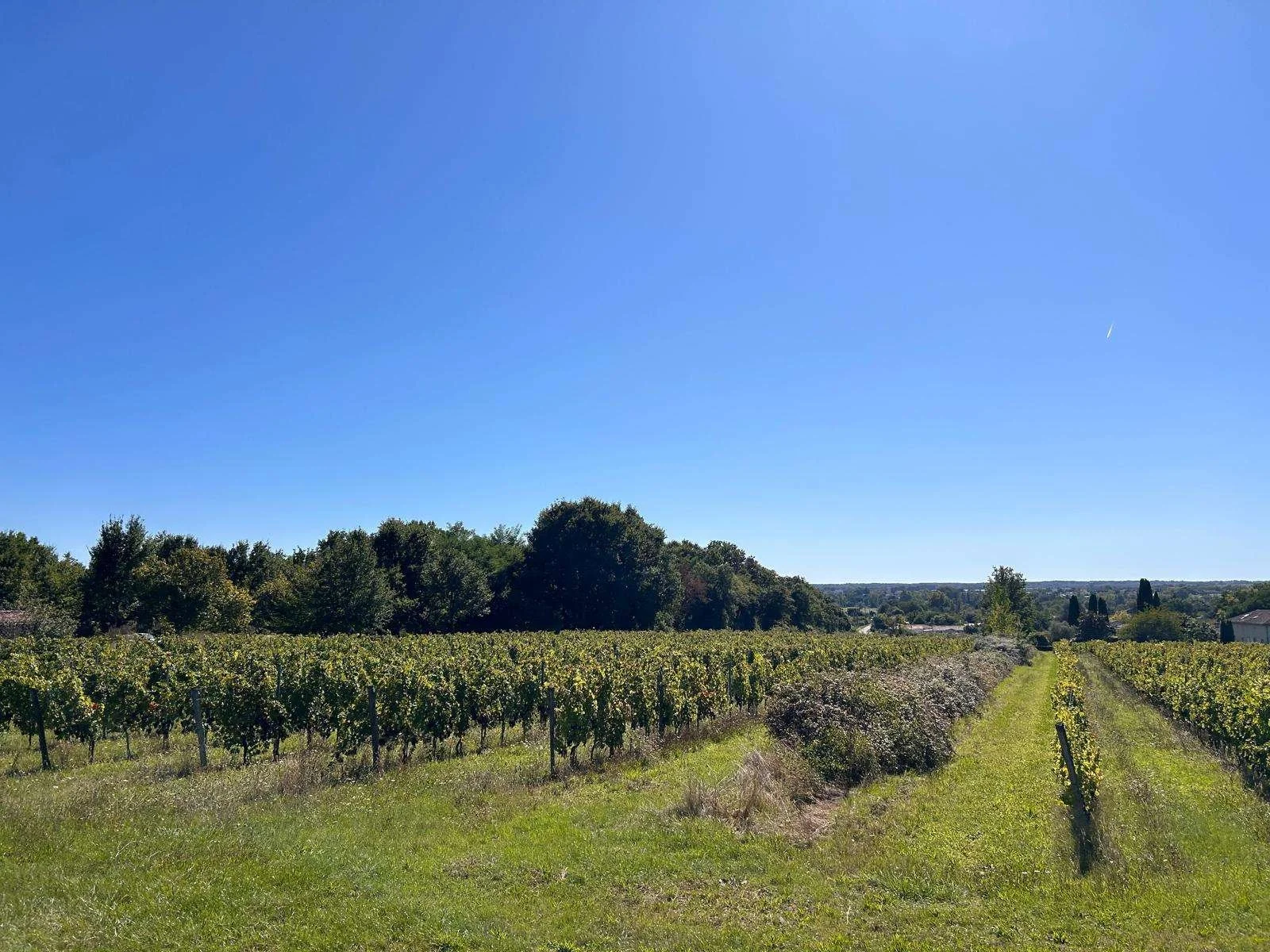 WhatsApp Image 2025-10-18 at 5.51.07 AM (3).jpeg