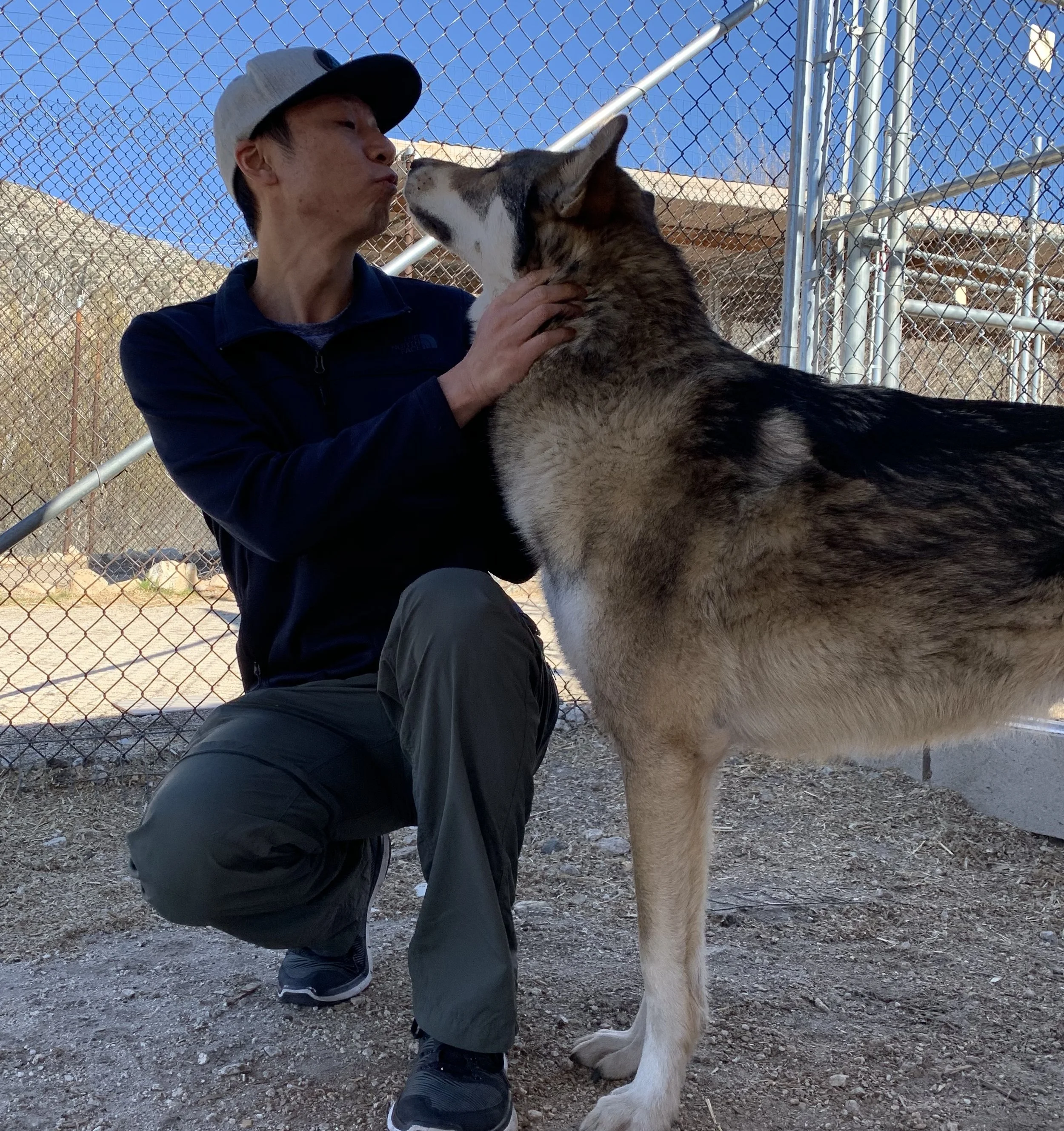 Hayden Lee MCC kneeling on the ground and kissing a large dog, possibly a husky, behind a chain-link fence outdoors with a clear blue sky.
