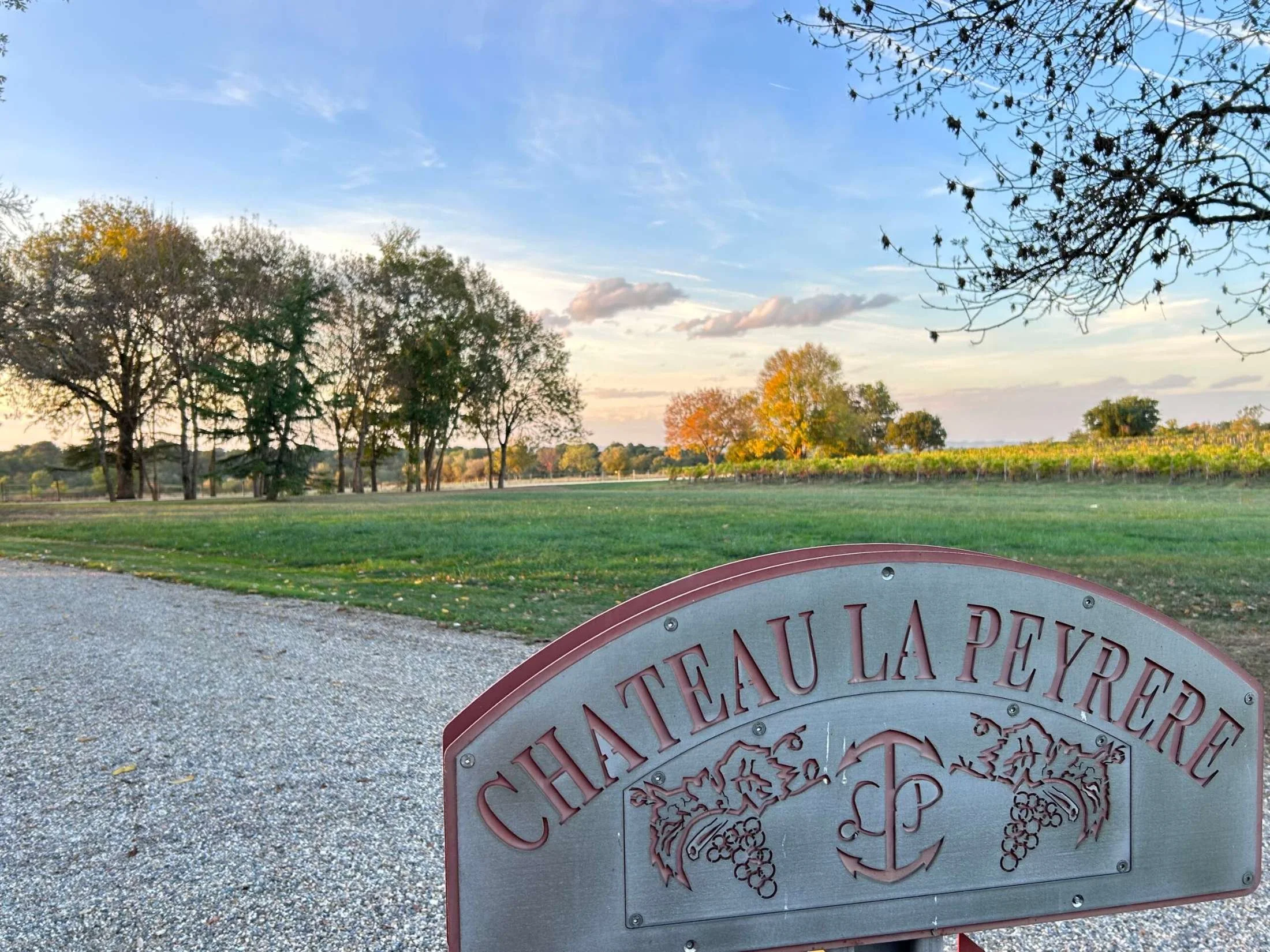 A vineyard with a sign that reads "Chateau La Peryere" in the foreground, trees with fall foliage, green grass, and a partly cloudy sky in the background.
