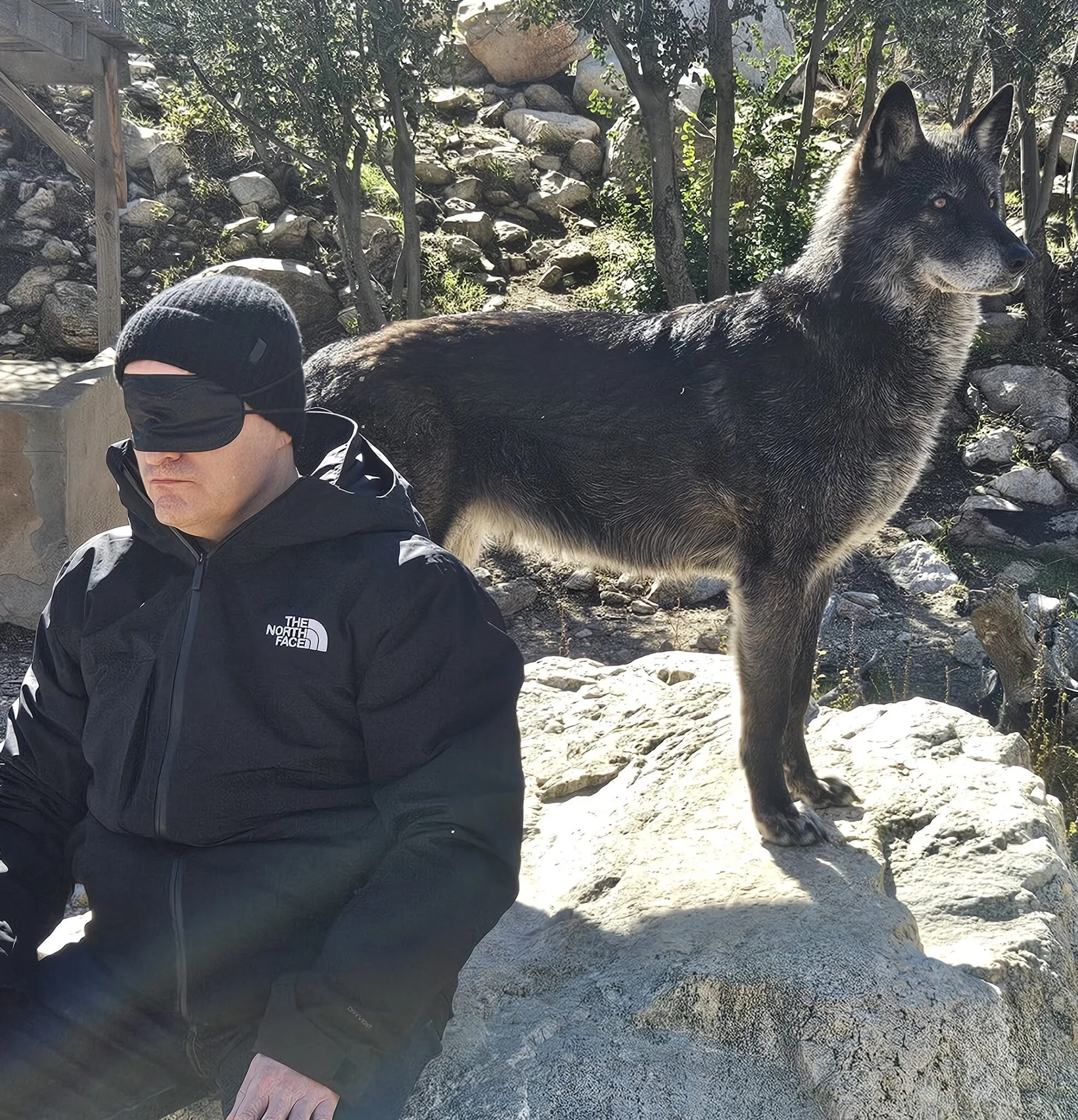 A man wearing a black jacket and hat with a blindfold, sitting on a rock, with a black and gray wolf standing on another rock behind him. The background has rocks, trees, and bushes.