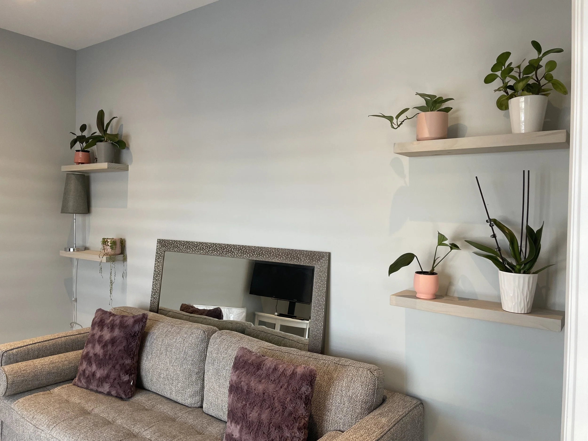 Living room with beige couch, two purple pillows, wall-mounted wooden shelves with potted plants, a large mirror, and a small TV.
