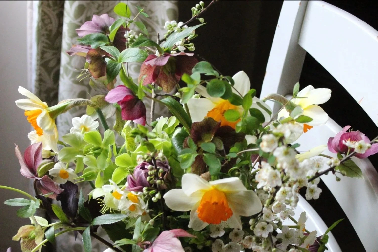 March hellebores and narcissus