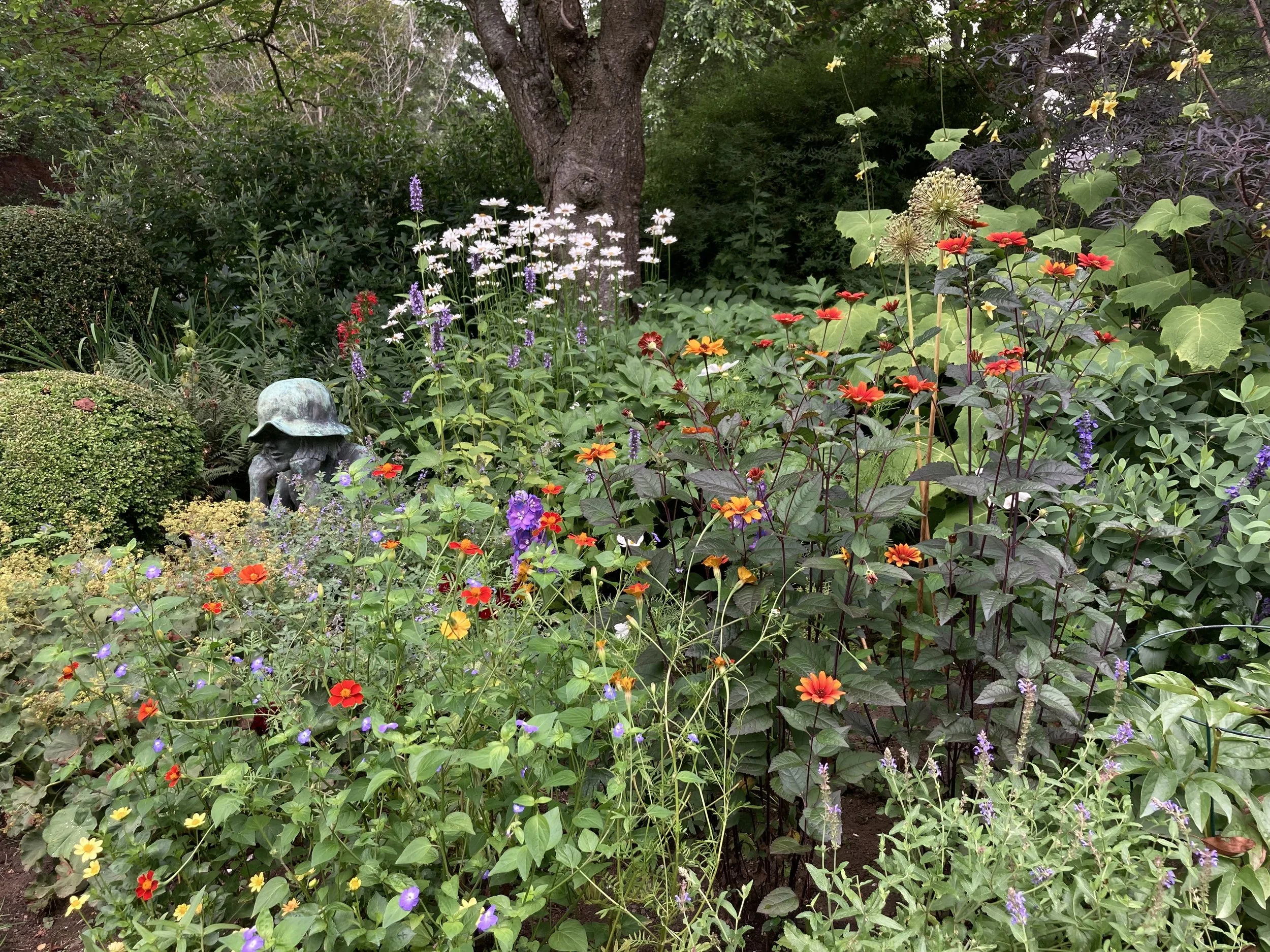 IMG_5429.jpeg
