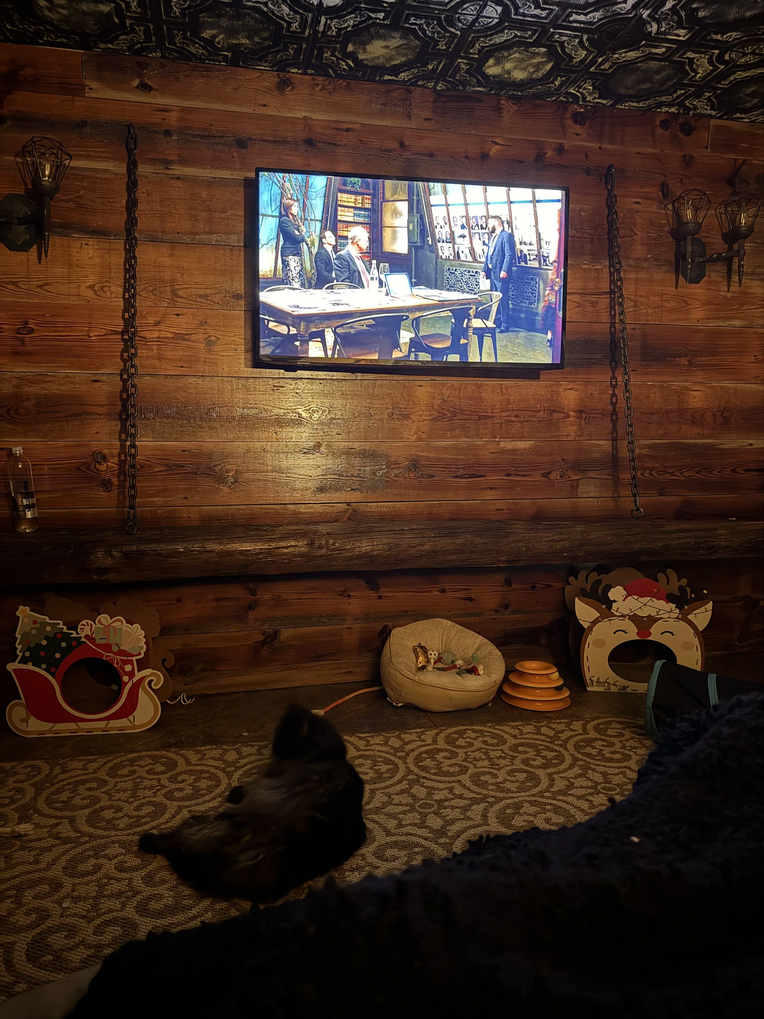 Maine Coon Cattery with wooden wall and ceiling, decorated with black ornate lighting fixtures. A flat-screen TV displays a scene of people in a library or bookstore. On the floor, a small dog is lying next to Christmas-themed cutouts and toys