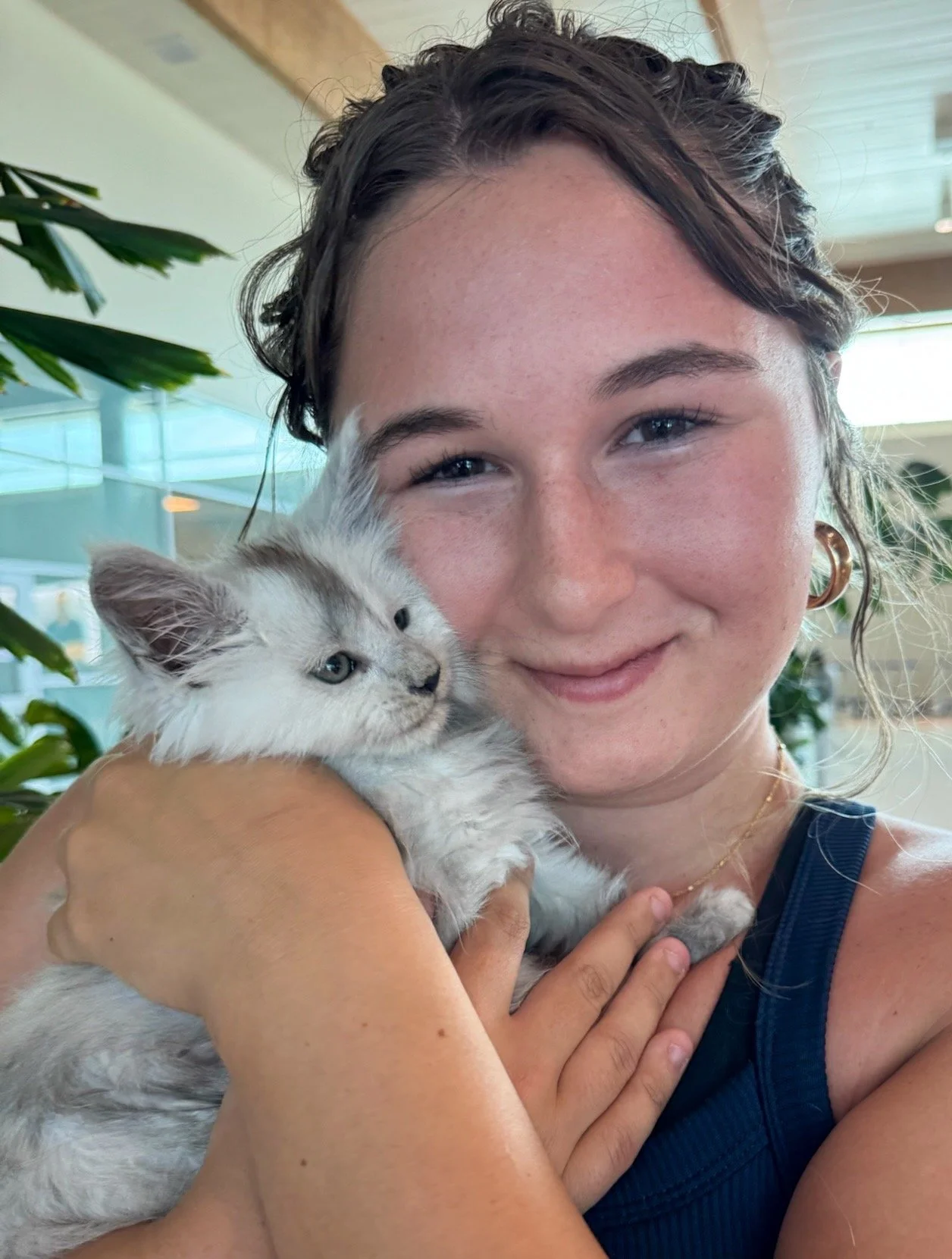 A woman smiling with a white and grey Maine Coon kitten in her arms at an indoor location -  - Mainecoon Gods LLC