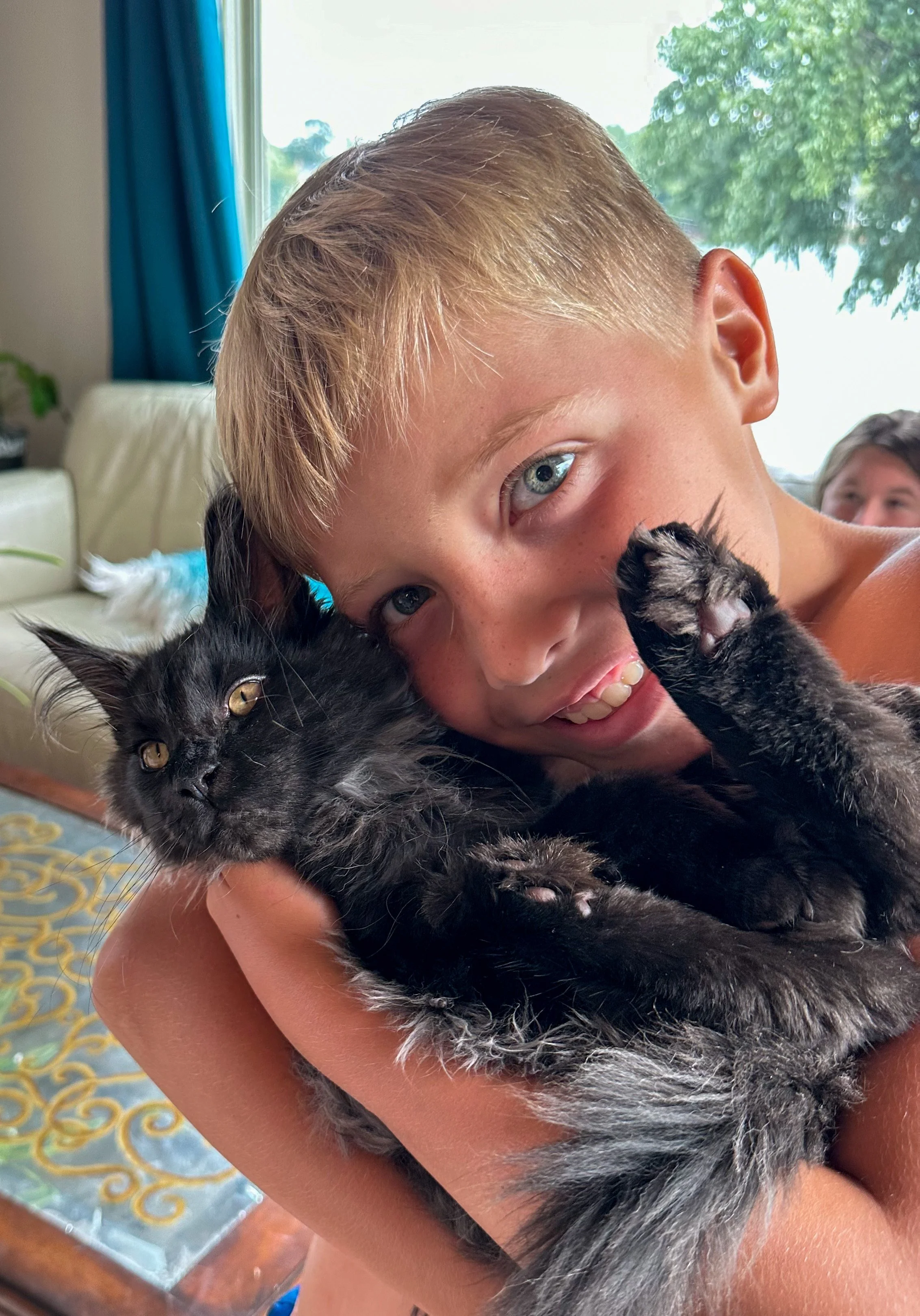 A boy with blond hair hugging a black cat indoors near a window with greenery outside.