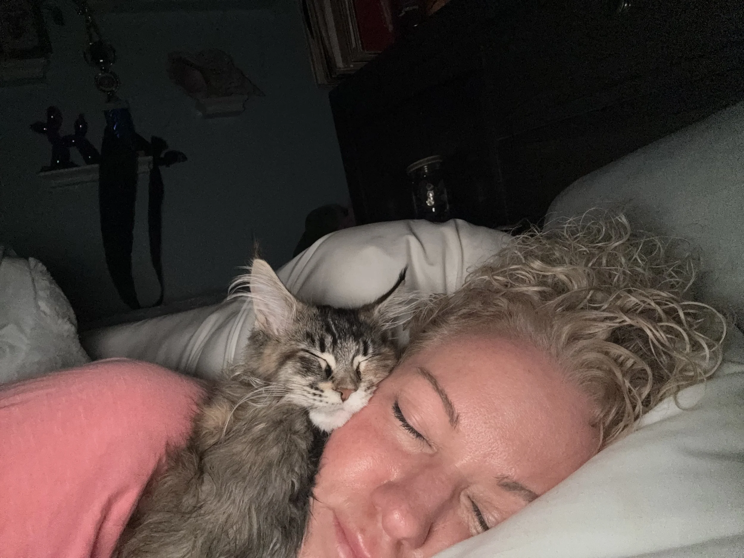 A woman with curly blonde hair lying in bed with her eyes closed, smiling, and a gray tabby Maine Coon kitten resting its head against her face, also with eyes closed, in a cozy bedroom setting.