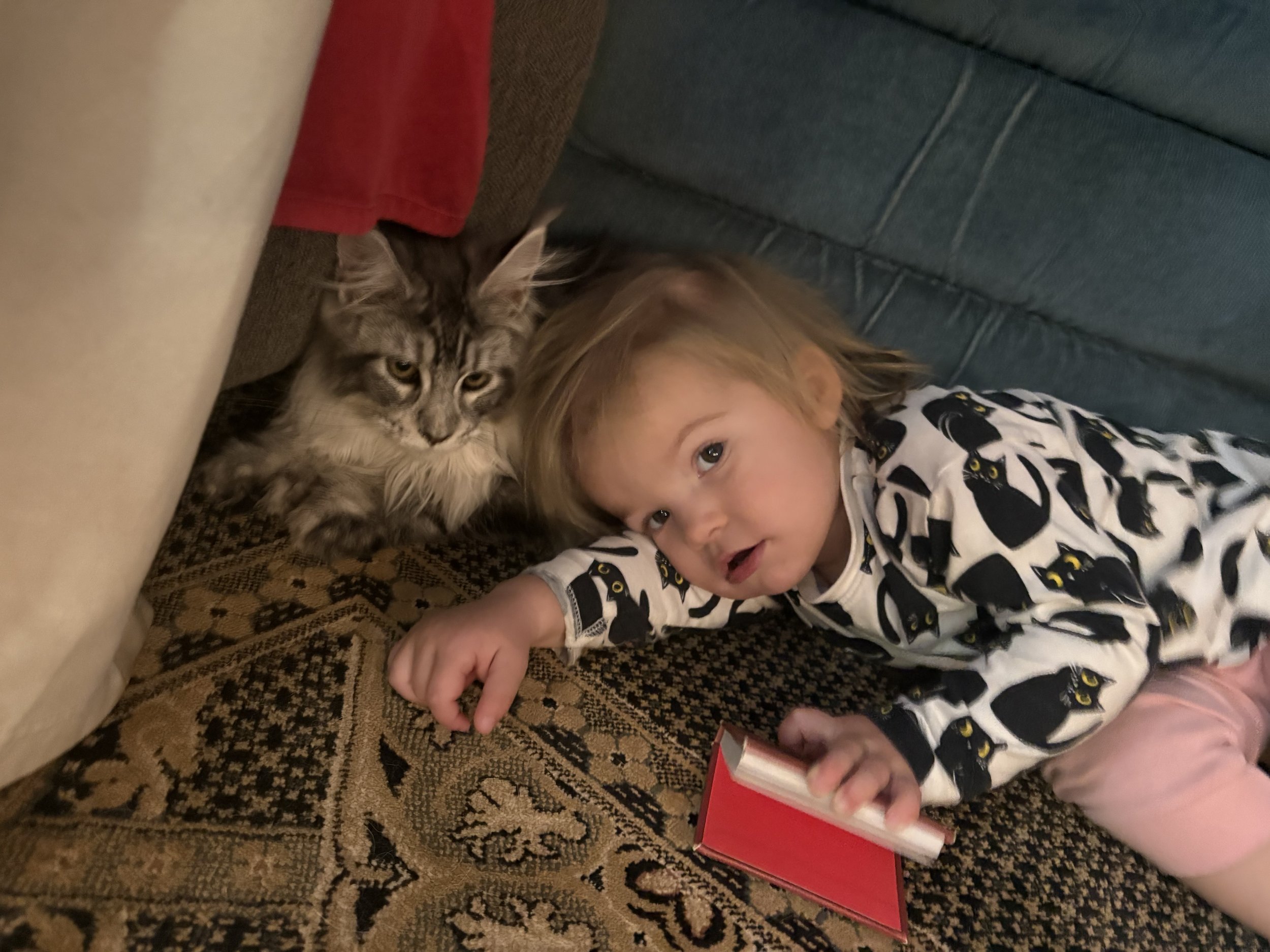 A child lying on a patterned carpet next to a tabby and white fluffy cat, both resting under a sofa with a red blanket nearby.