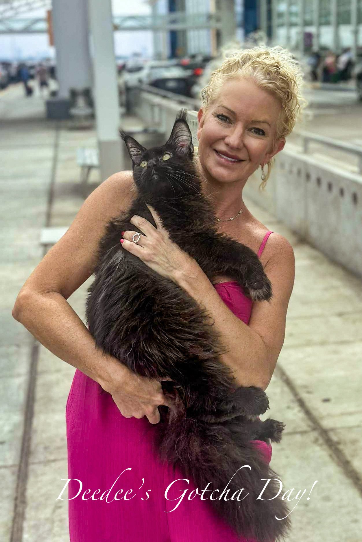 A woman with short blonde curly hair wearing a pink dress holding a large fluffy black cat outdoors with an urban background, and text overlay reading 'Deedee's Gotcha Day!'.