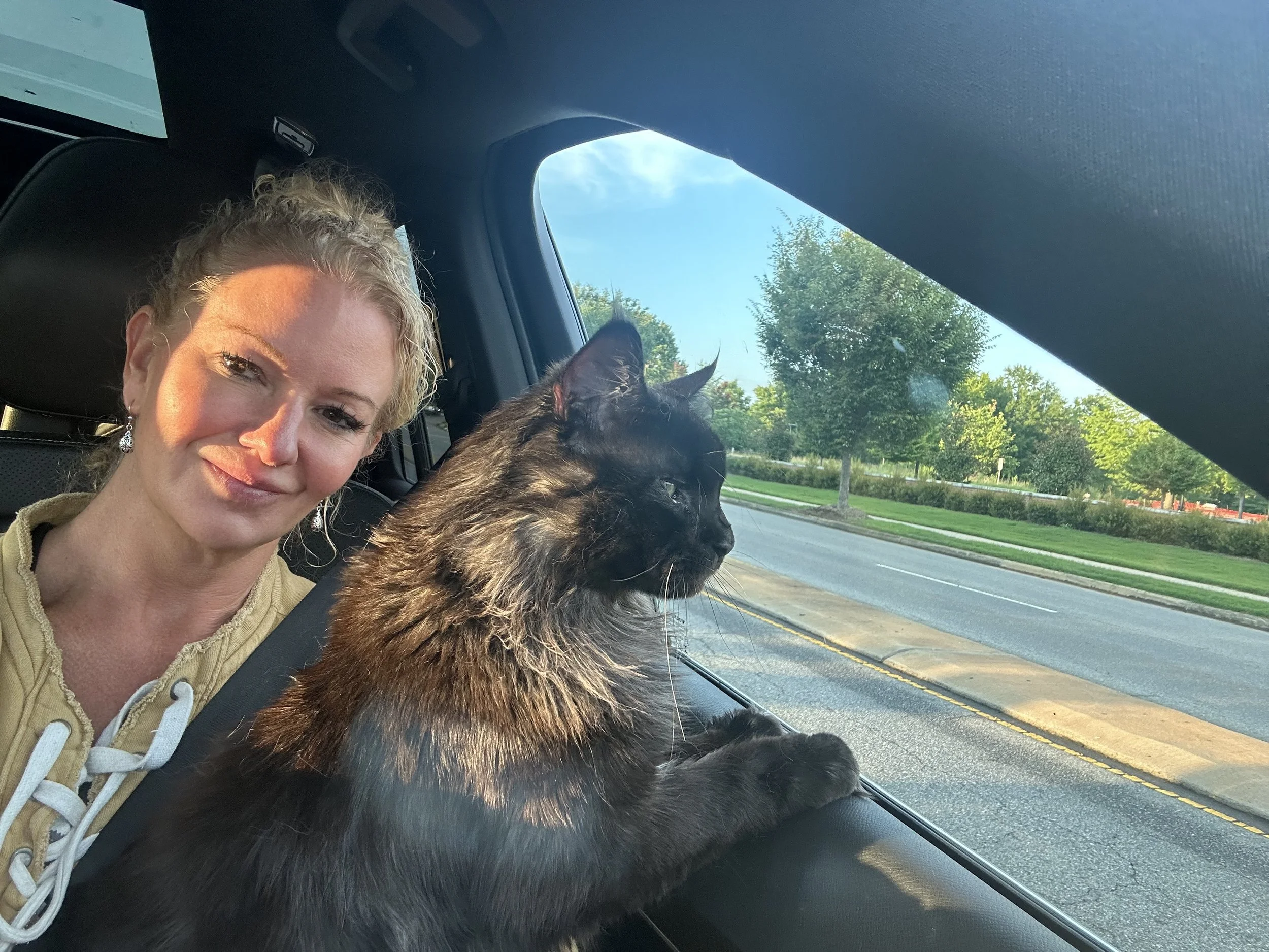 A woman with blonde hair and earrings sitting in a car, smiling, with a large black and brown Maine Coon  cat sitting on the dashboard looking out the window at a sunny day with trees and a street outside - Mainecoon Gods LLC
