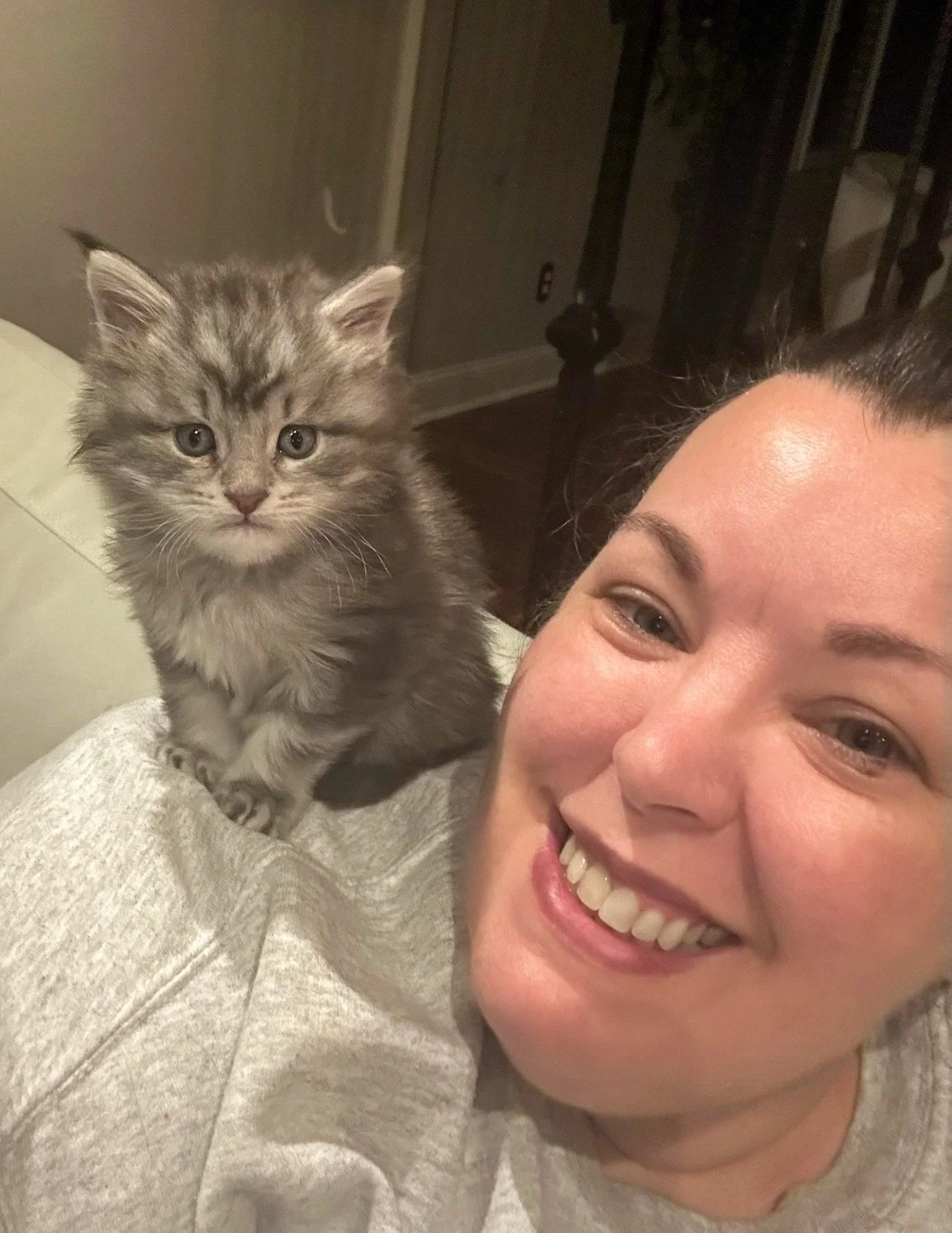 A woman smiling with a gray striped Maine Coon kitten on her shoulder in a cozy indoor setting - Mainecoon Gods LLC